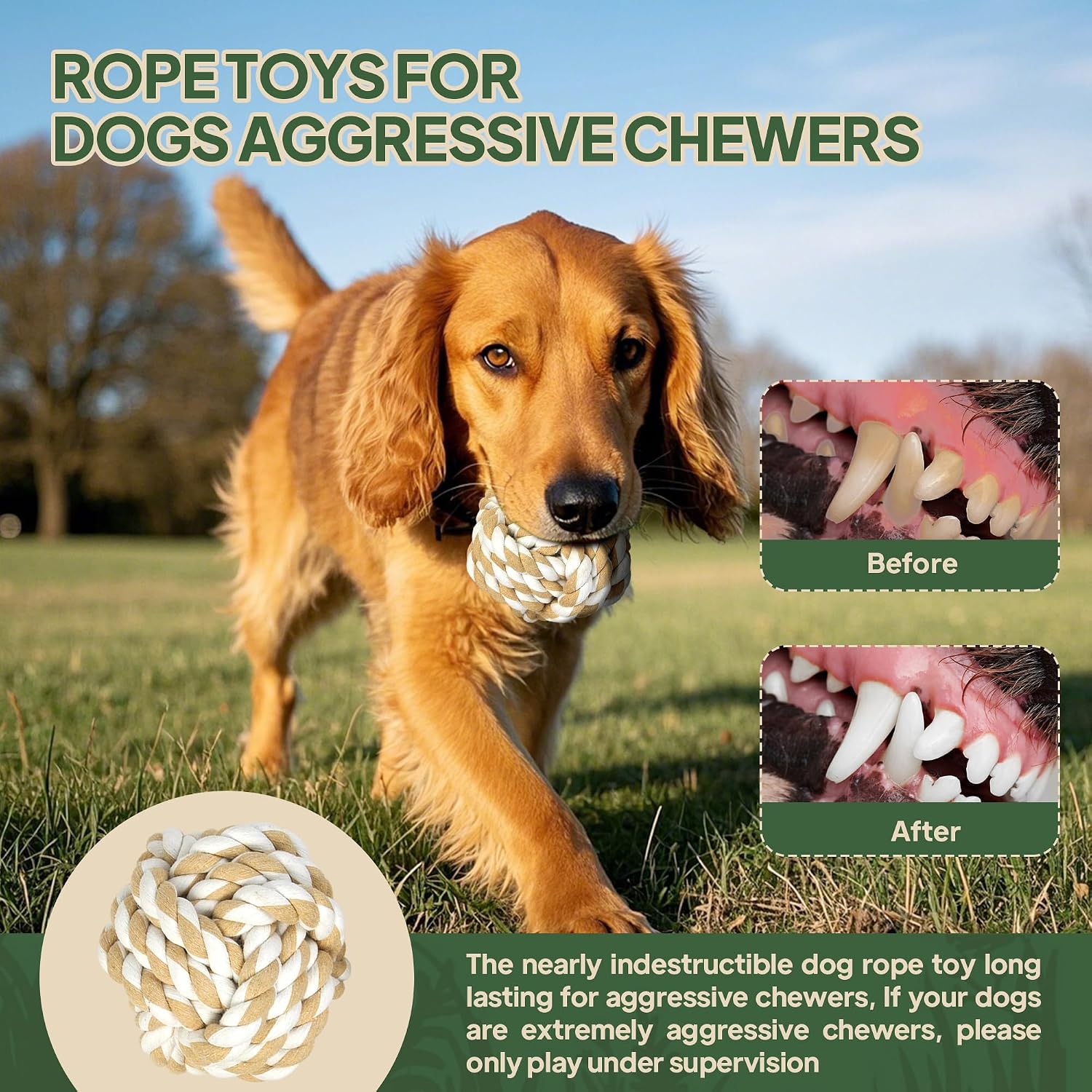 TwoEar Dog Rope Toy 4 Pack - Puppy Teething Toys for Small Breed