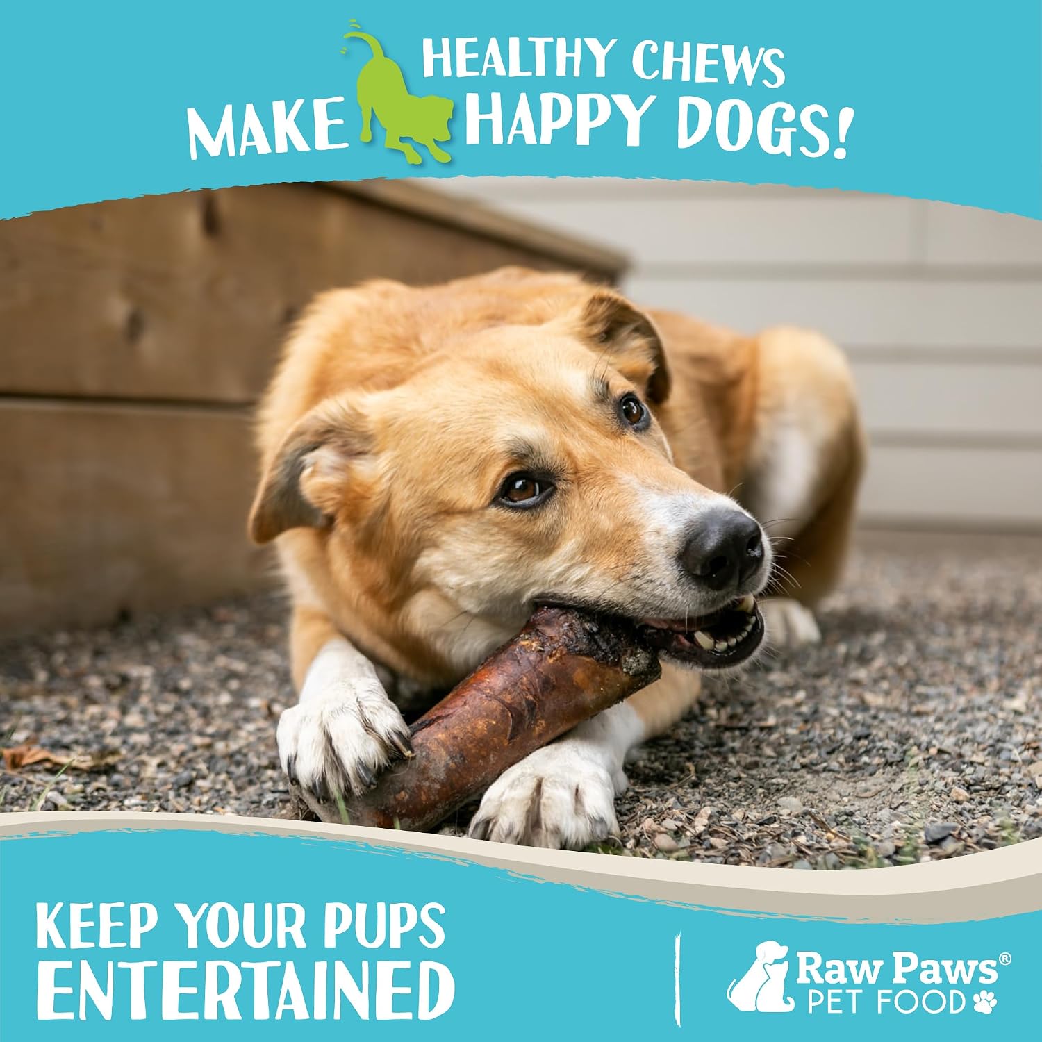 Raw Paws Smoked Beef Marrow Bones for Dogs, 5-6-Inch (4-Count) - Dog Chews