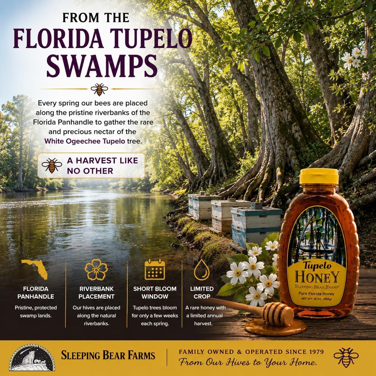 Sleeping Bear Farms Raw Tupelo Honey 2 lb Jar FSU Certified Pure