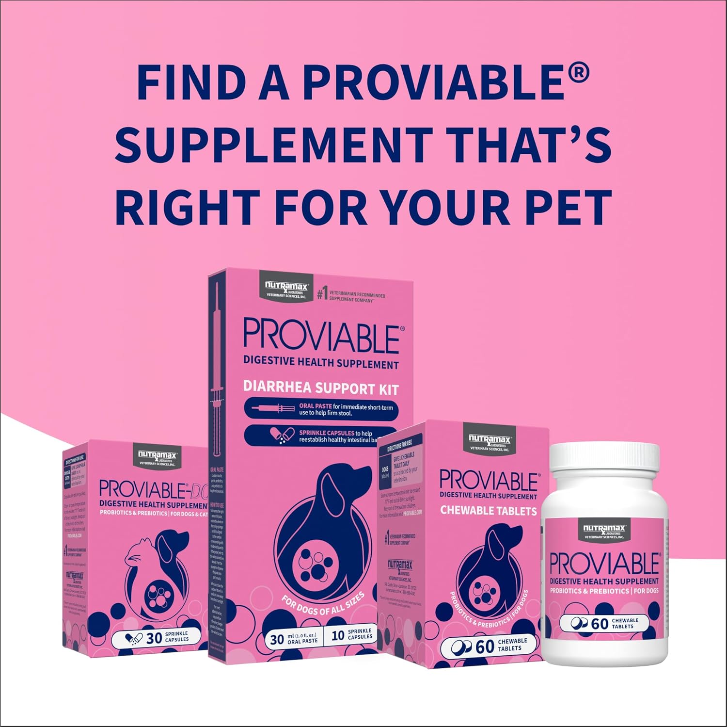 Nutramax Proviable Probiotics + Prebiotics for Dogs, Chewable Tablets, 60ct