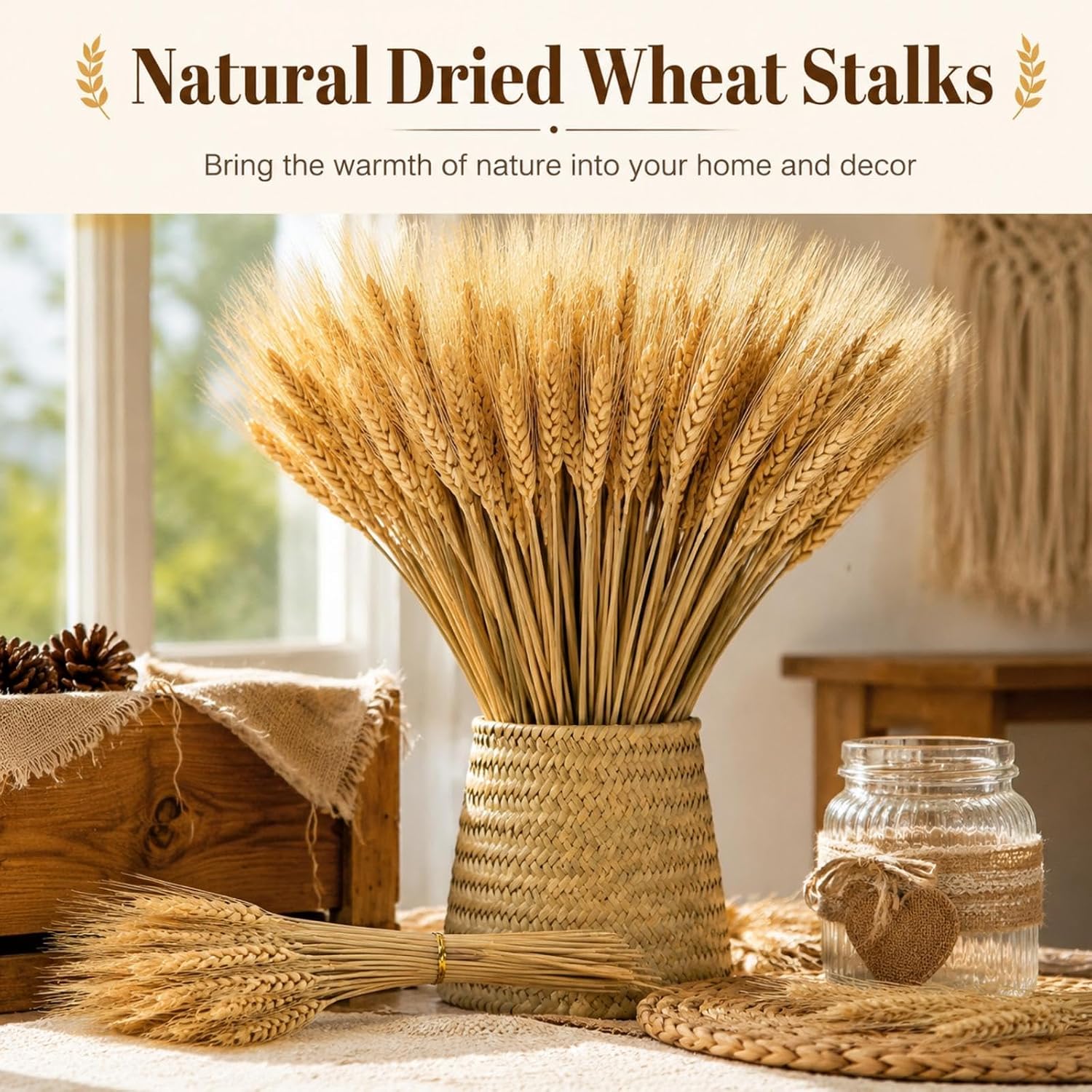 Yarlung 300 Stems Dried Wheat Stalks, 16 Inch Natural Wheat Sheaves Fall Arrangement for DIY Craft, Home Table, Wedding Decor