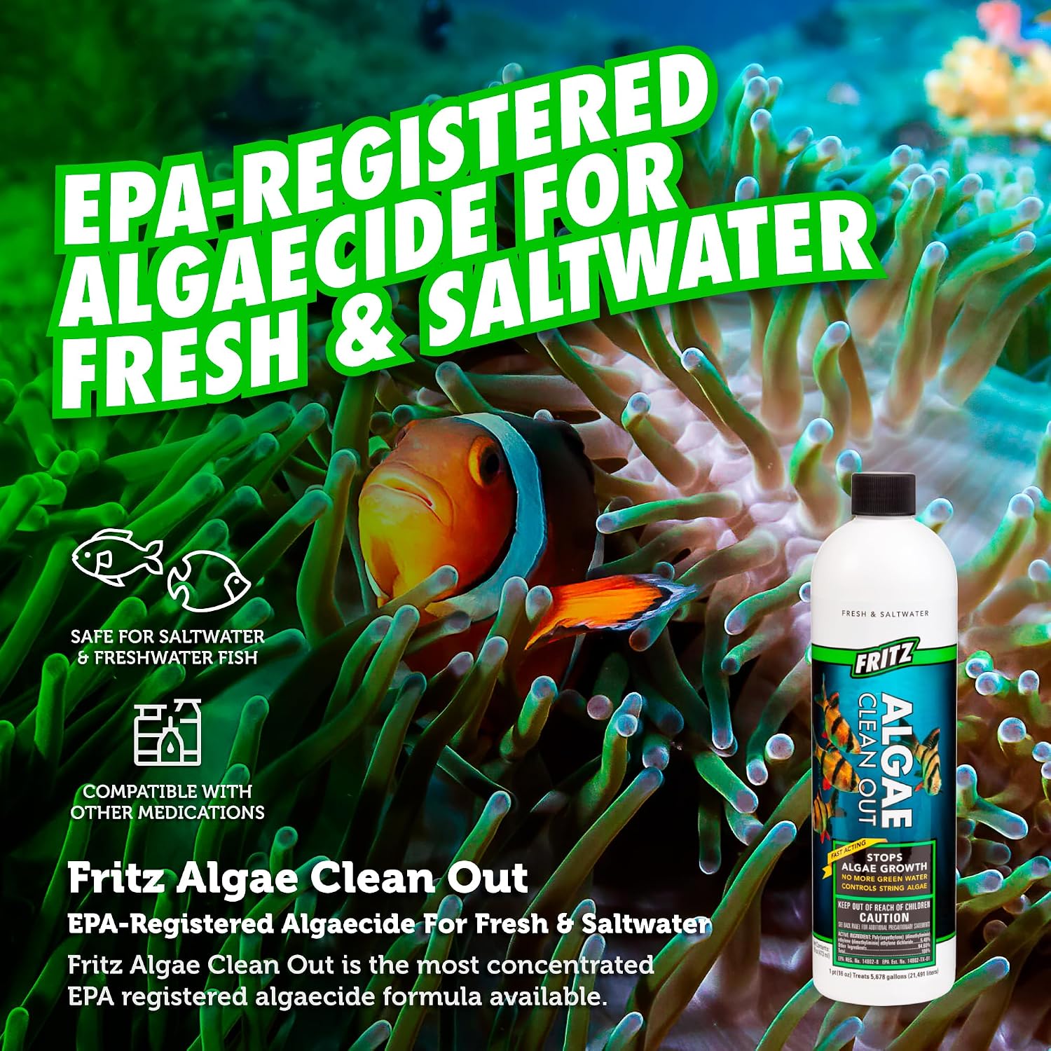 Fritz Aquatics Algae Clean Out - Algaecide for Fresh and Salt Water Aquariums, 16 oz