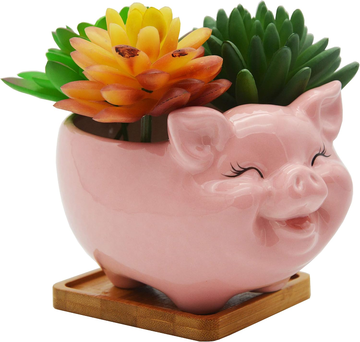 Cuteforyou Succulent Pots,Cute Animal Shaped Cartoon Ceramic Succulent Cactus Flower Planters -Plant Not Included，Cat