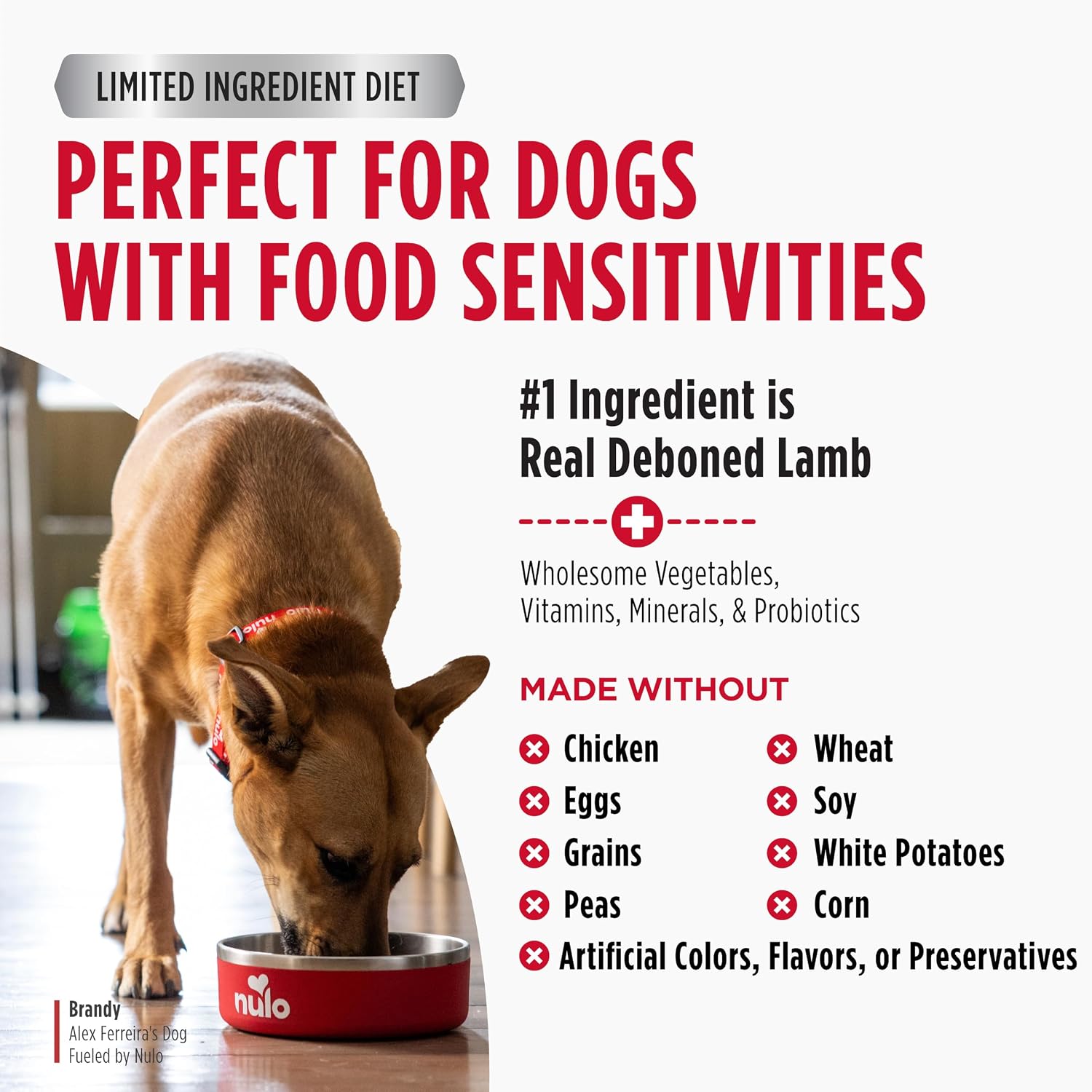 Nulo Freestyle Limited Ingredient Dry Dog Food for Small Breeds - High Protein Turkey Recipe, Natural Grain Free Dog Food for Food Sensitivities