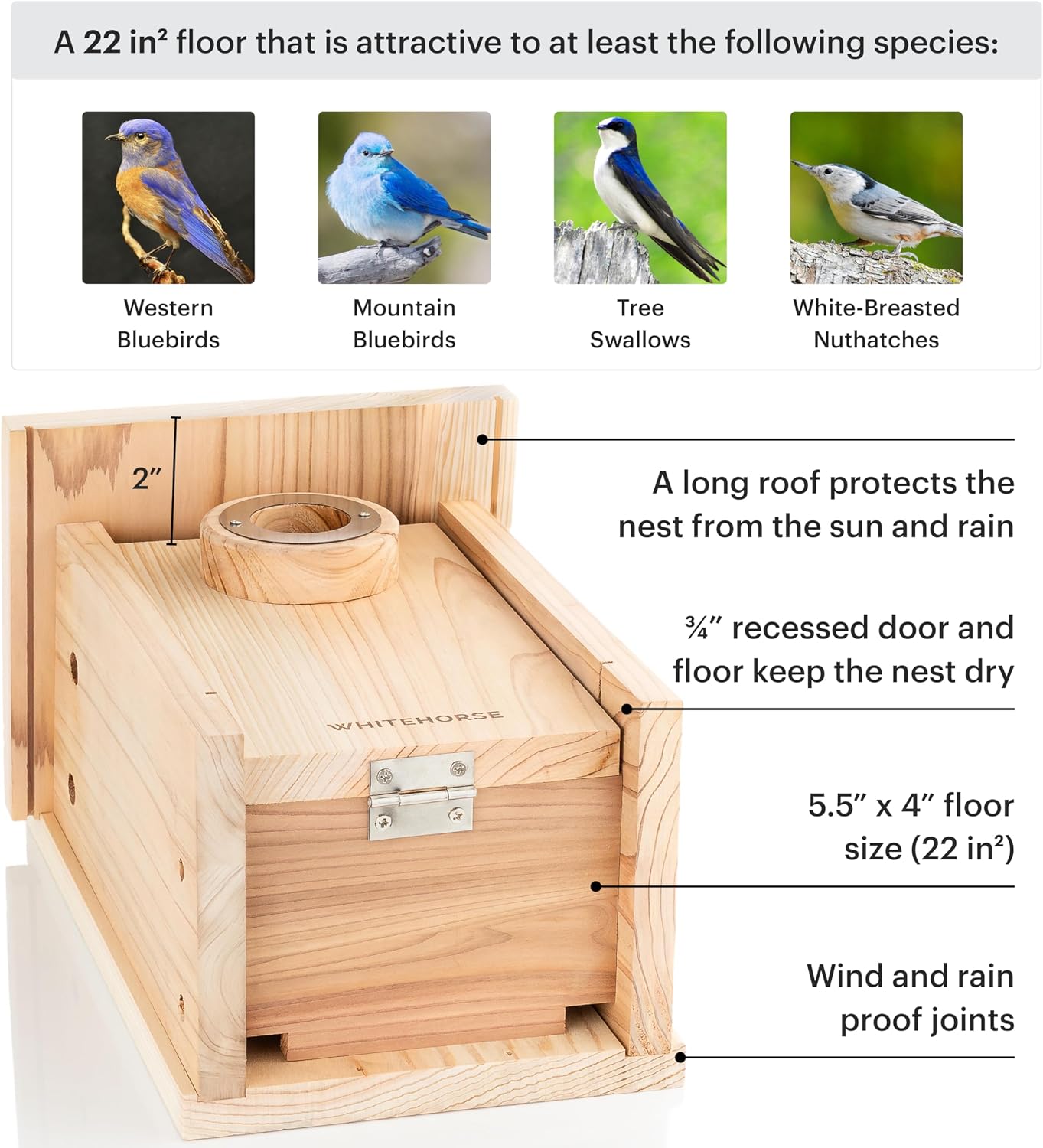 WHITEHORSE Bluebird House - Weatherproof Bird House for Outdoors - Cedar Birdhouse Built to NABS Specs - Nest Box for Bluebirds, Chickadees, Titmice