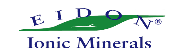 Eidon Logo