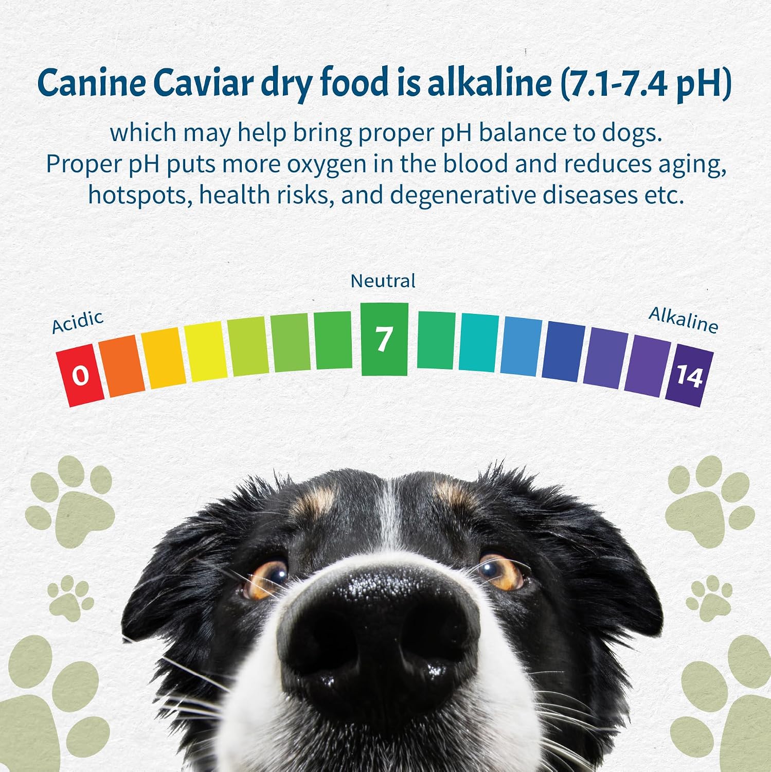 Canine Caviar - Open Range: Water Buffalo & Chickpea Alkaline Dry Dog Food, Limited Ingredients, Gluten-Free, Based on Science & Research, Veterinary Alternative Diet (22 Pound Bag)
