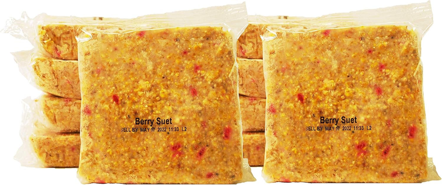 ST. ALBANS BAY SUET PLUS Suet Cake Variety Packs, 11 oz. Wild Bird Suet Cakes (High Energy, 10 Pack)
