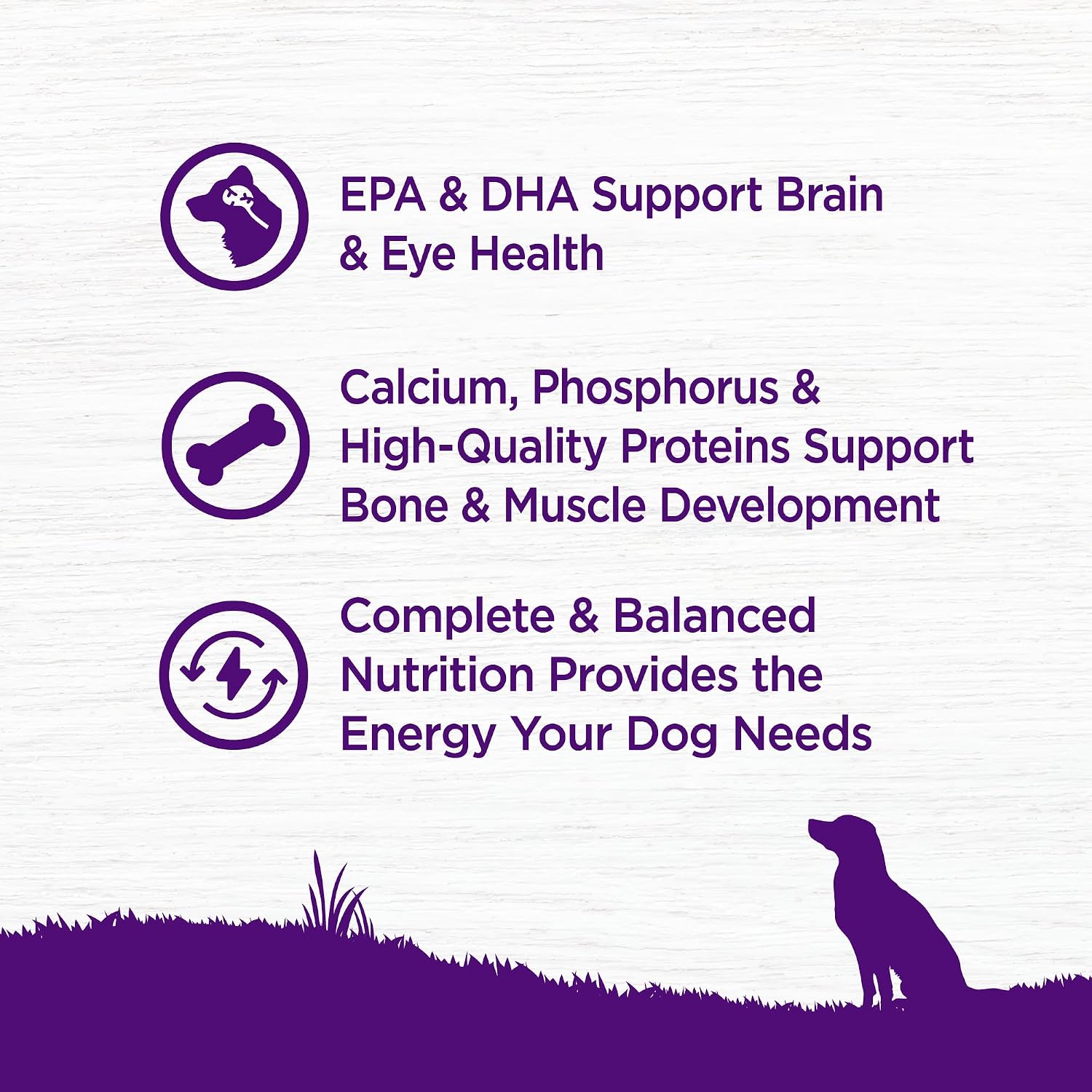 Wellness Complete Health Puppy Dry Dog Food, Grain Free Kibble, Natural, Chicken and Salmon Recipe, 24 lb Bag