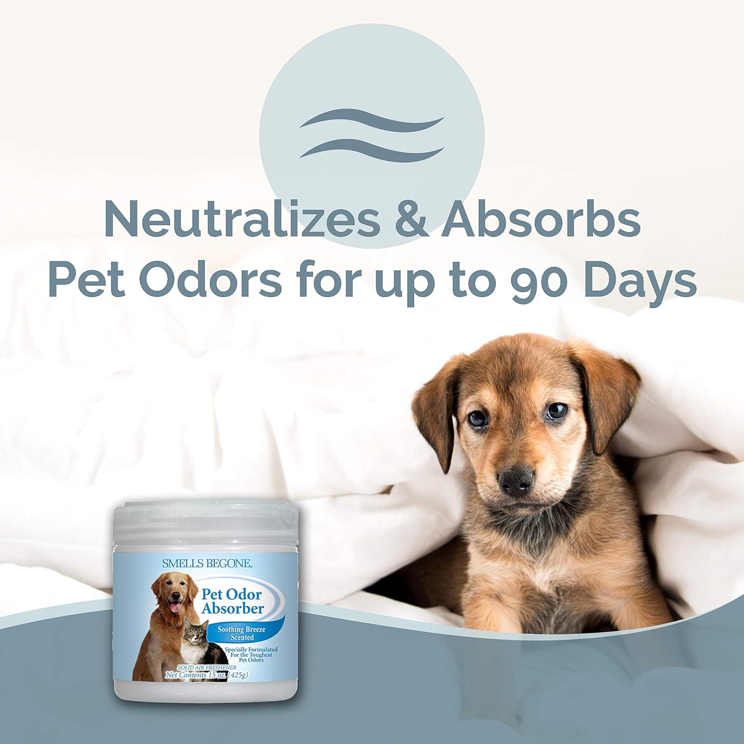 SMELLS BEGONE 15oz Gel Odor Eliminator - Absorb & Remove Tough Odors in Pet Areas, Bathrooms, Basements, Garage, Cars, RVs & Boats - Eliminate Odors Quickly (1-Pack, Pet Calming Rain)