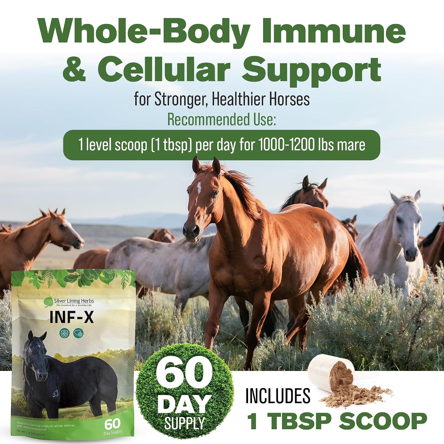 INF-X Horse Immune Booster Supplement - 1 lb | Horse Immune Booster, Garlic, Goldenseal, Myrrh & Olive Leaf, Cellular & Natural Defense Support, 1 lb