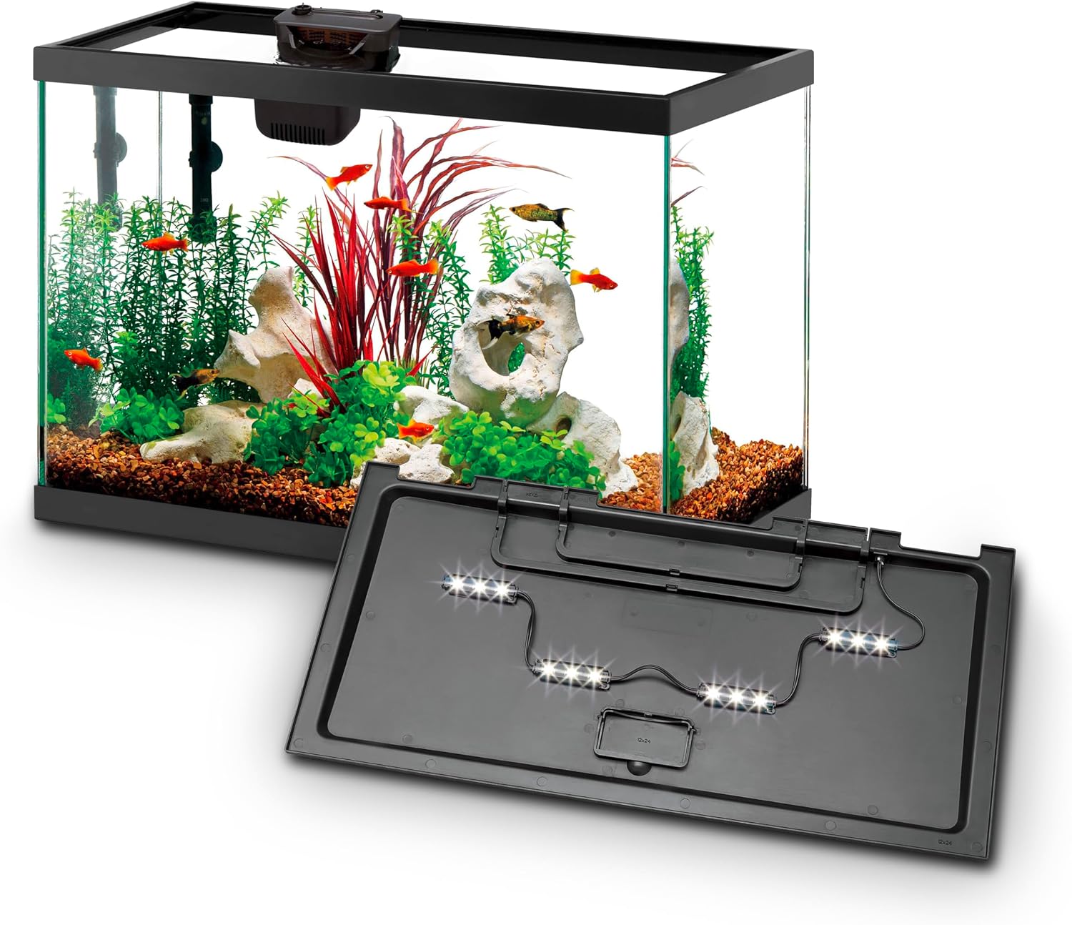 Aqueon Aquarium Fish Tank Starter Kit with LED Lighting 10 Gallon Fish Tank