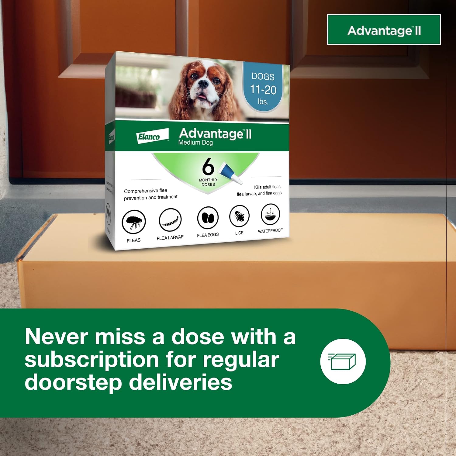Advantage II Large Dog Vet-Recommended Flea Treatment & Prevention | Dogs 21-55 lbs. | 4-Month Supply