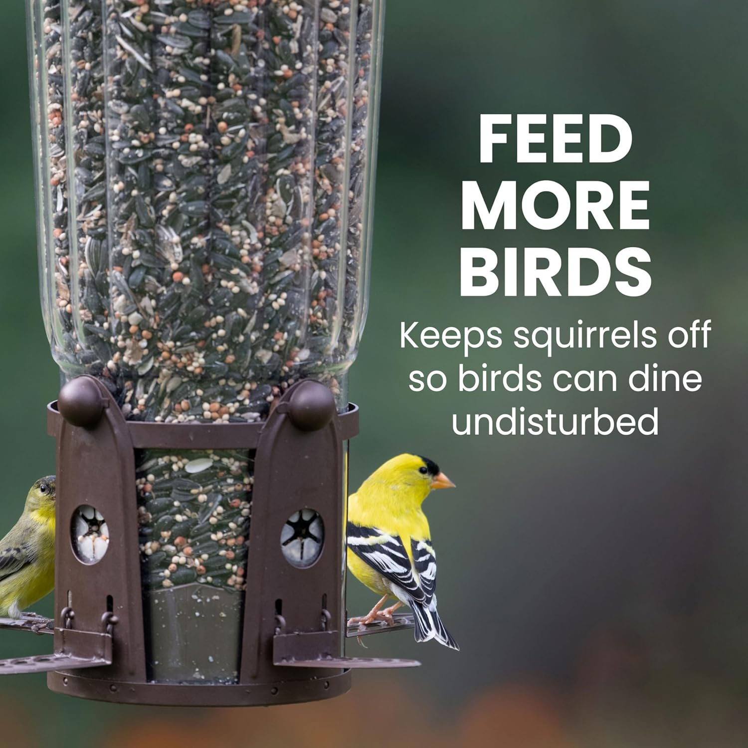 Perky-Pet Squirrel-Be-Gone Max Bird Feeder, (4) Flexport Feeding Stations | Squirrel-Proof Metal Hanging Feeder for Outdoors