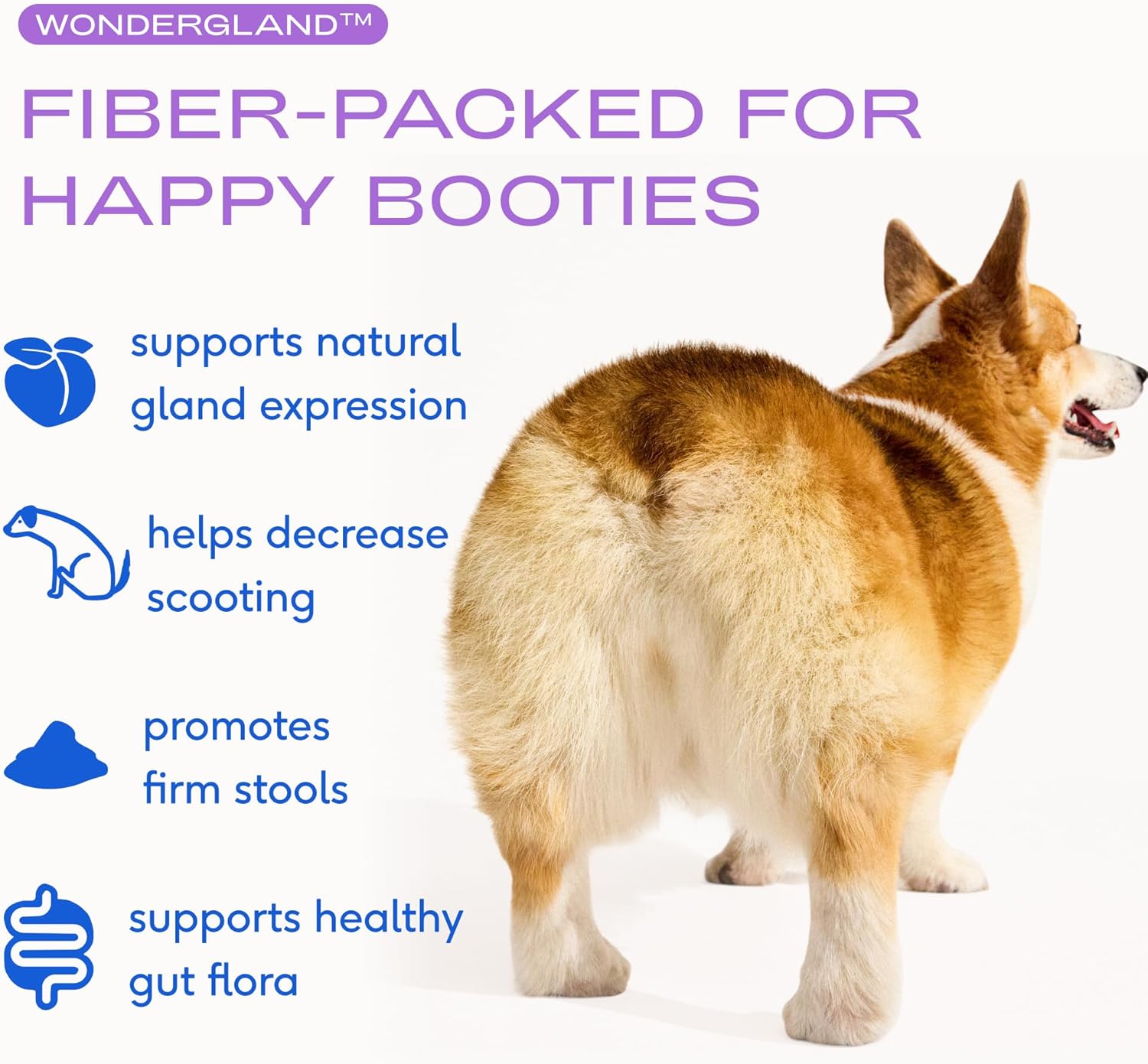 Native Pet Probiotics for Dogs – Dog Probiotic Powder for Gut & Digestive Health, Vet-Formulated 6B CFUs Dog-Specific Probiotic Strains
