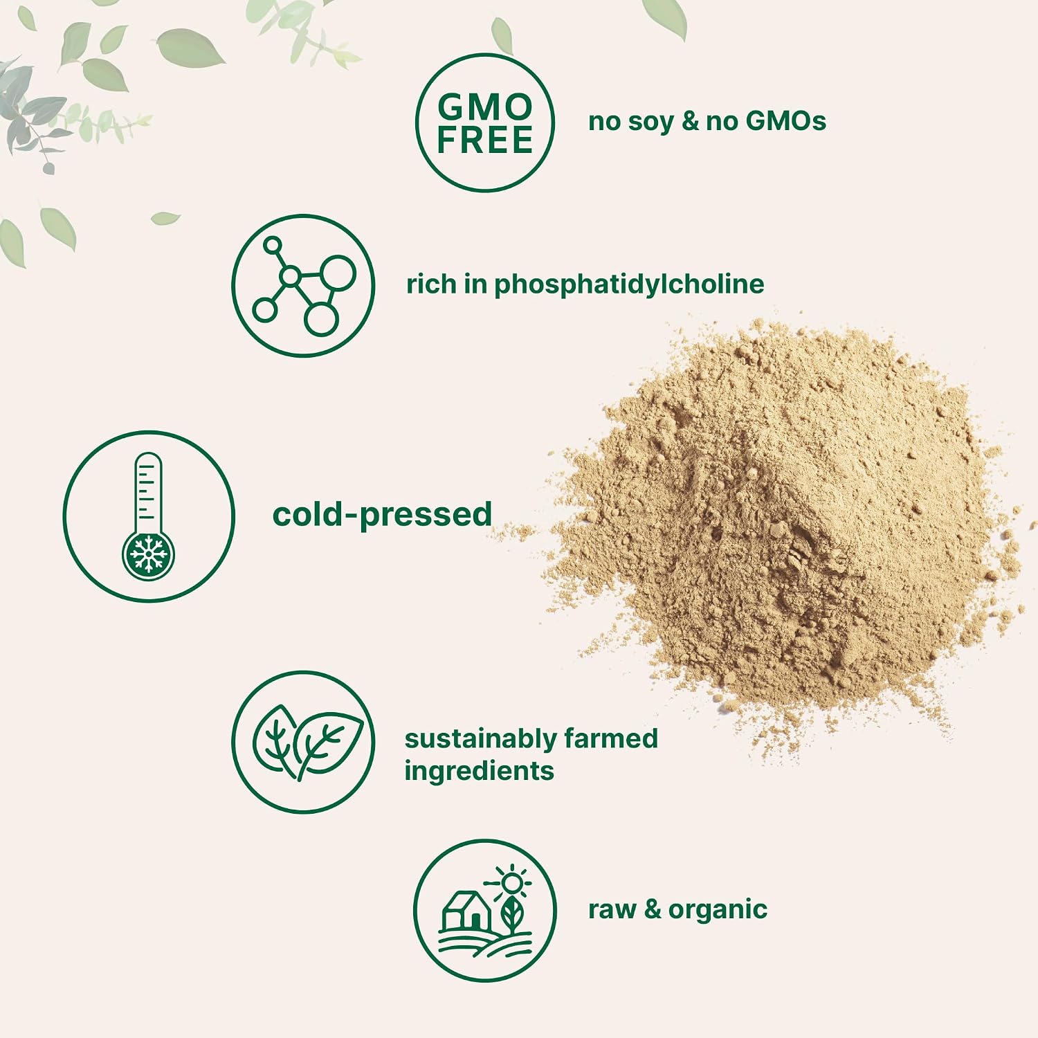 Organic Sunflower Lecithin Powder, 1 Pound, Sustainable Farmed, Cold Pressed, Rich in Phosphatidyl Choline and Protein, Making Liposomal Vitamin C