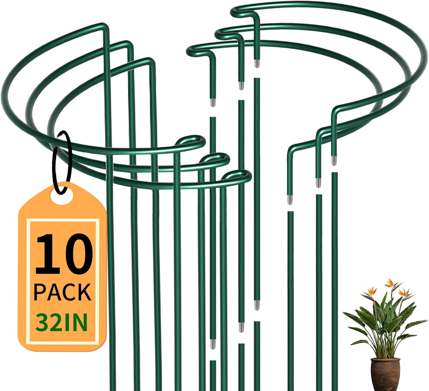 TCBWFY 10 Pack Garden Plant Support Stakes, 10" Widex16 High Heavy Duty Interlinked Half Round Peony Support Ring Cage for Indoor Outdoor Plants