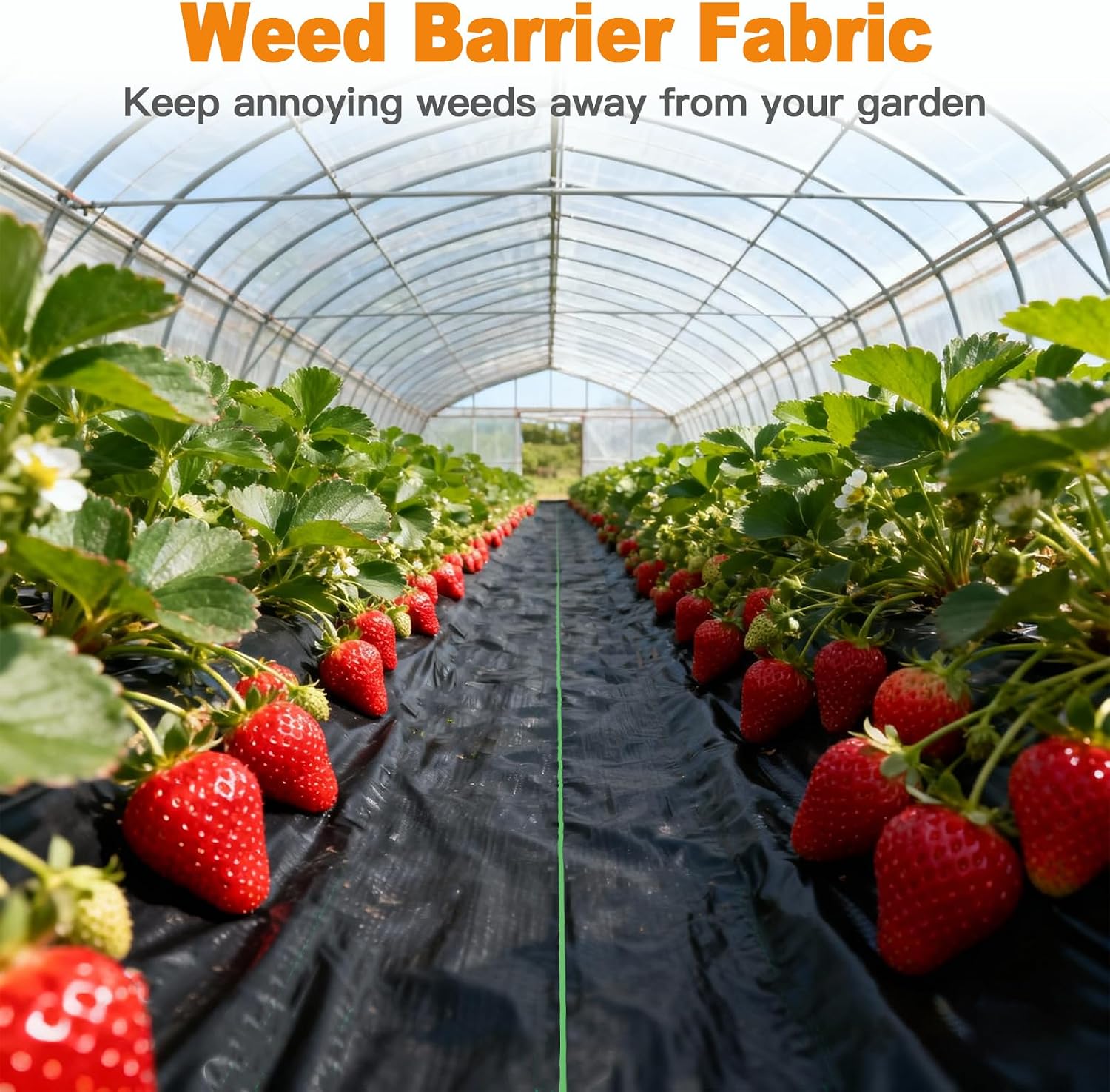 AMAGABELI 3.2oz 4ft x 100ft Weed Barrier Landscape Fabric Premium Garden Cloth Heavy Duty Weed Control Blocker Mat Gardening Ground Cover Durable Woven Geotextile Fabric Driveway Underlayment