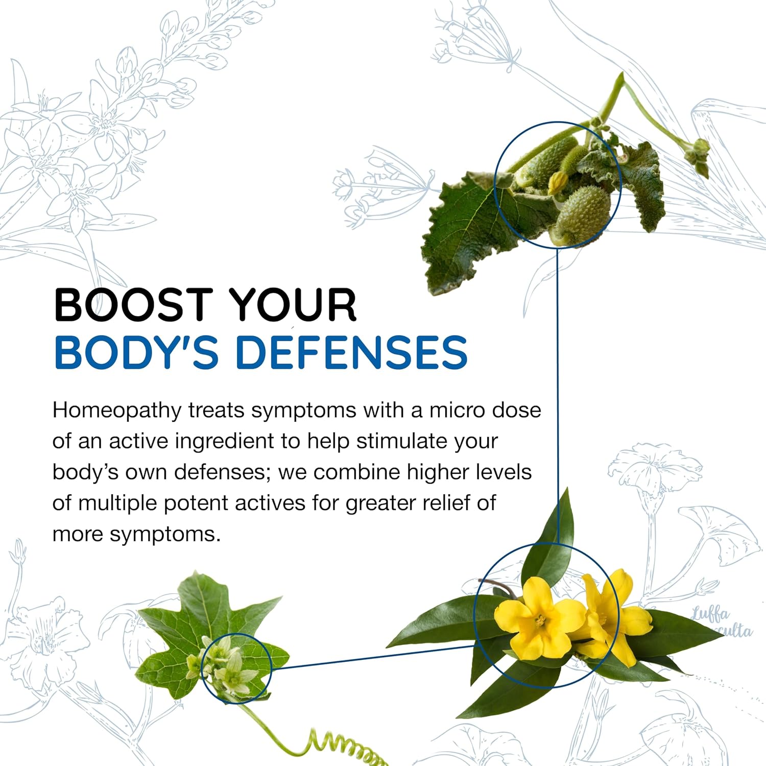 MediNatura BodyAnew Cleanse/Detox – Cleansing Drops that Support 5 Organs for Body Purification Support – 5 oz
