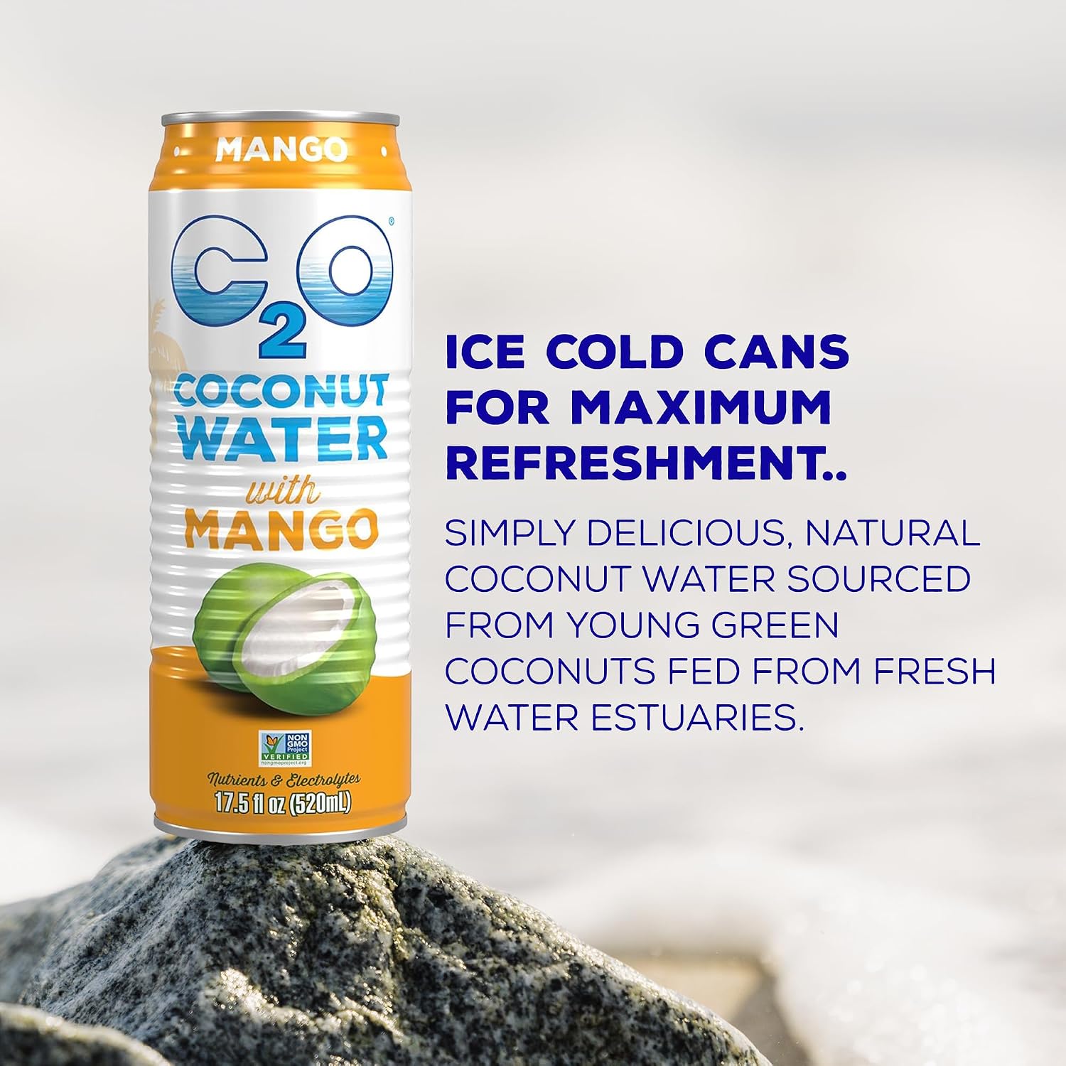 C2O - Coconut Water with Pineapple (12 Pack) - Made with Fresh Coconut Water - Plant Based - Non GMO - Canned Water - Natural Hydration, Essential Electrolytes, & Potassium - 12 Cans, 17.5 FL OZ