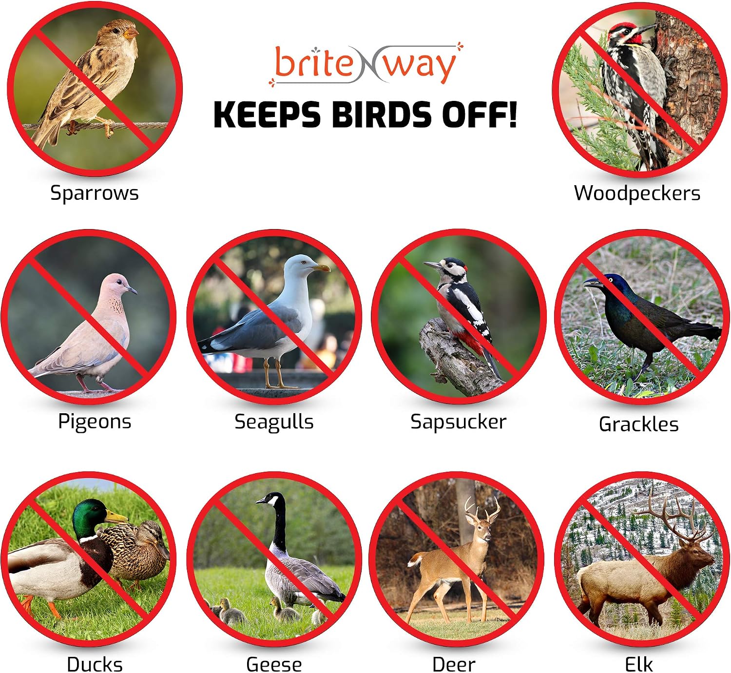 Premium Quality Bird Deterrent Reflective Scare Tape Ribbon 350 ft Long – Pest Control Dual-sided Repellent For Pigeons, Grackles, Woodpeckers
