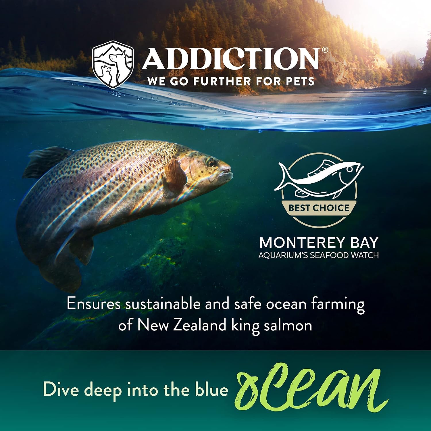 Addiction Viva La Venison Grain-Free Dry Cat Food - with Premium Venison to Support Muscle Development & Maintenance - High-Protein Recipe with Chicken & Low Carb - Made in New Zealand - 4lbs