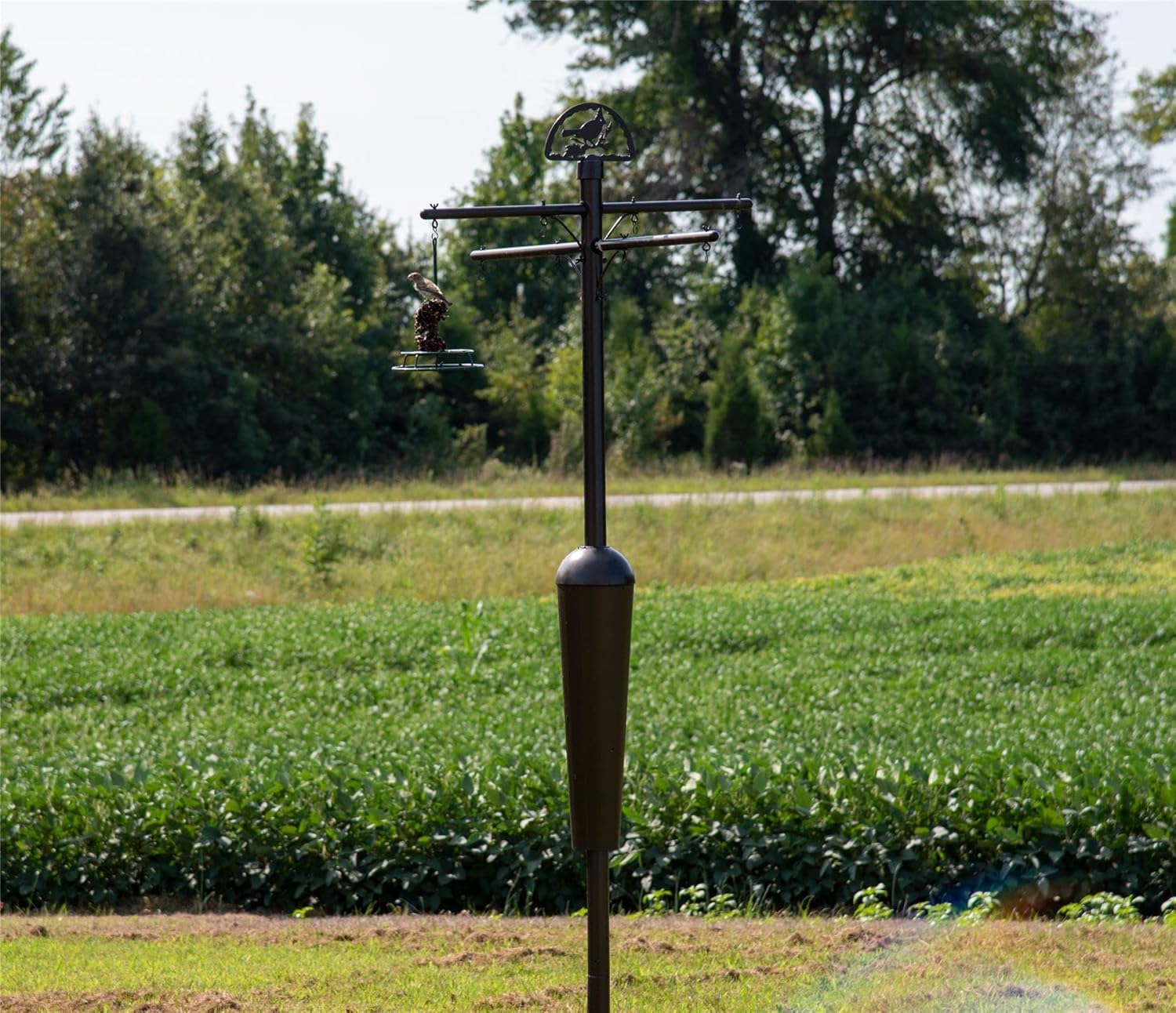 Squirrel Stopper Deluxe Squirrel Proof Bird Feeder Pole with Patented Spring Baffle, Heavy Duty Galvanized Steel Pole System with Auger, Raccoon Proof