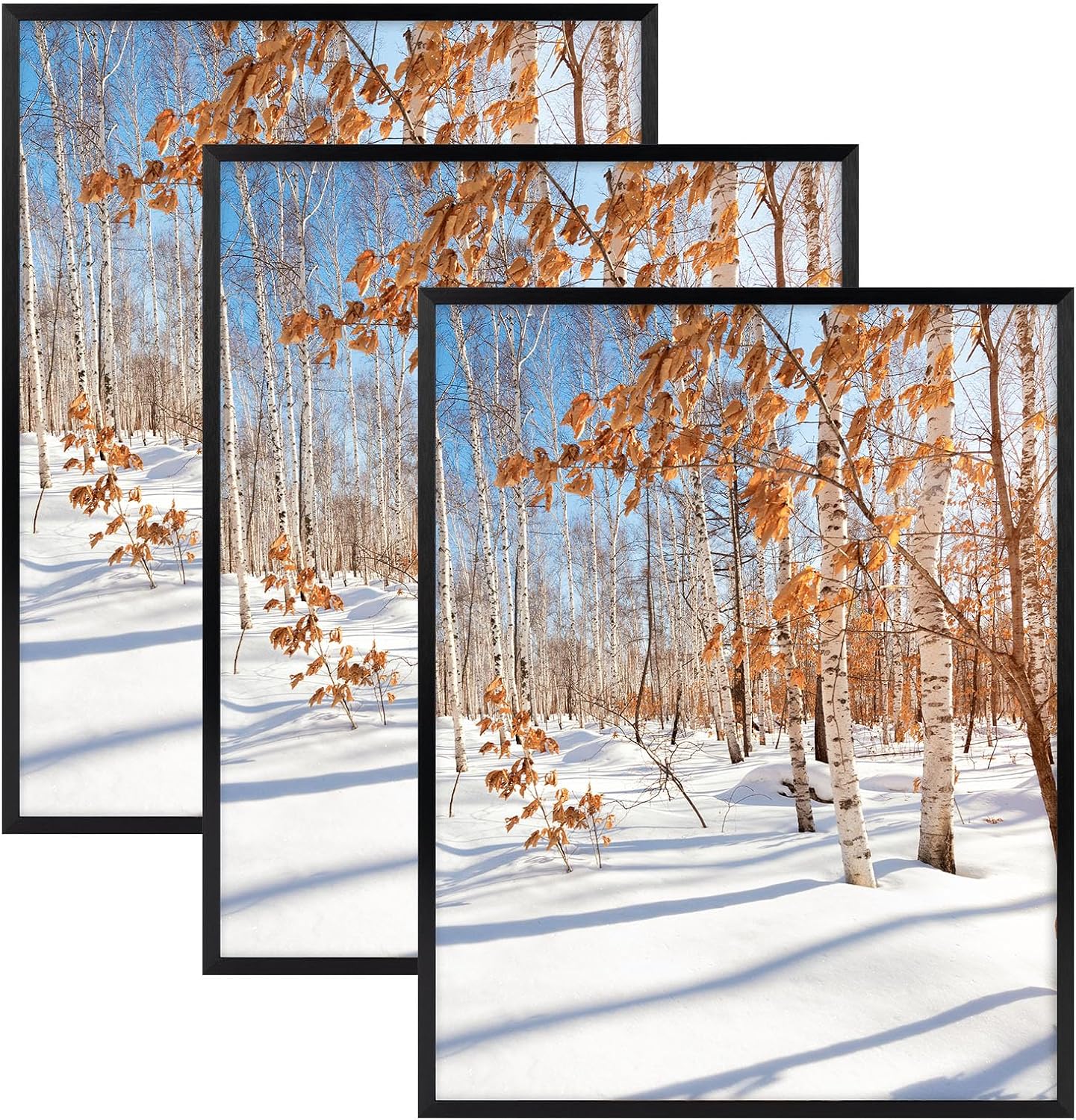 Golden State Art 3 Pack 12x12 Black Aluminum Frames, Real Glass Fronts