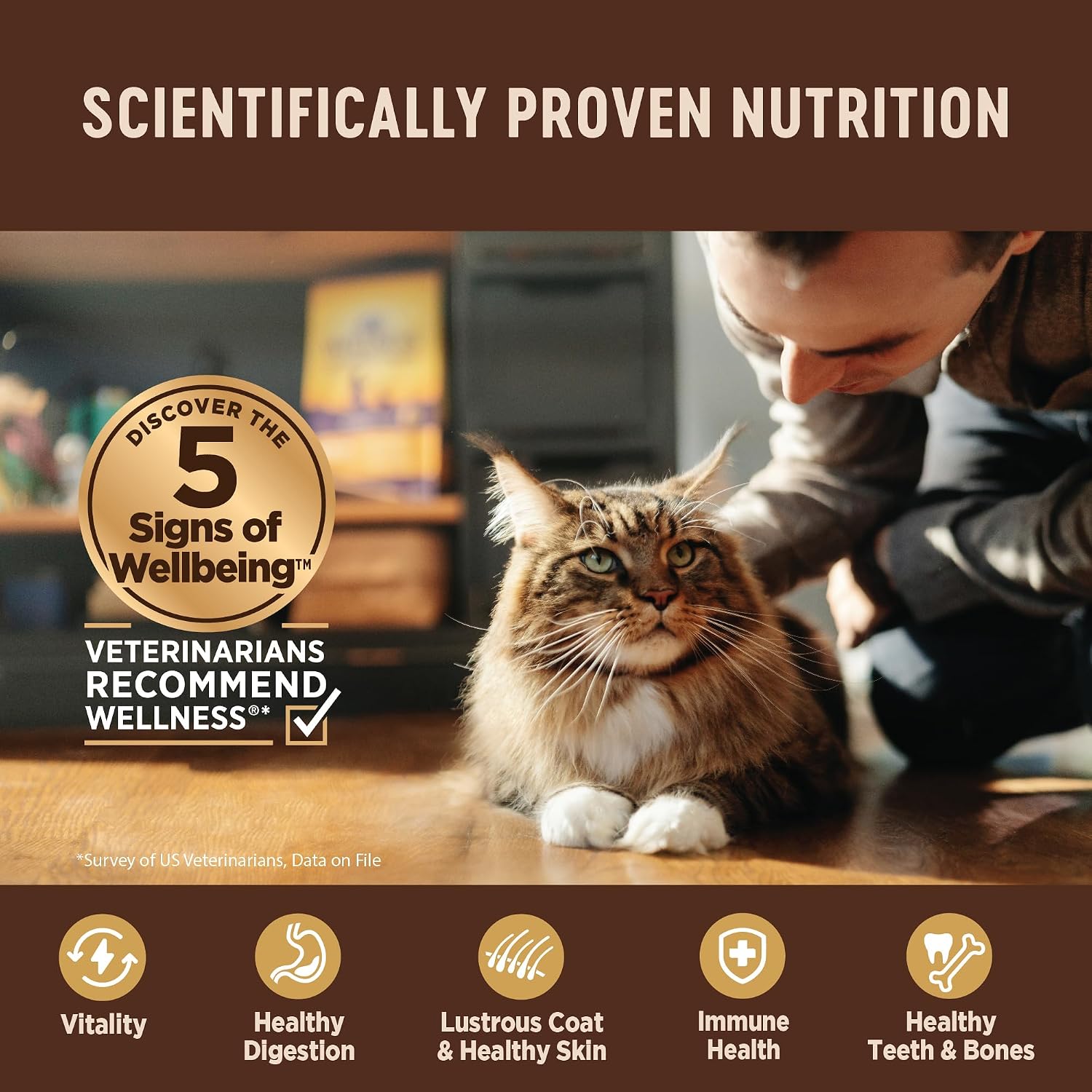 Wellness CORE Pate Adult Canned Wet Cat Food, Natural, Protein Rich, Grain Free, Turkey and Duck Recipe, 3 oz, Pack of 12 Cans