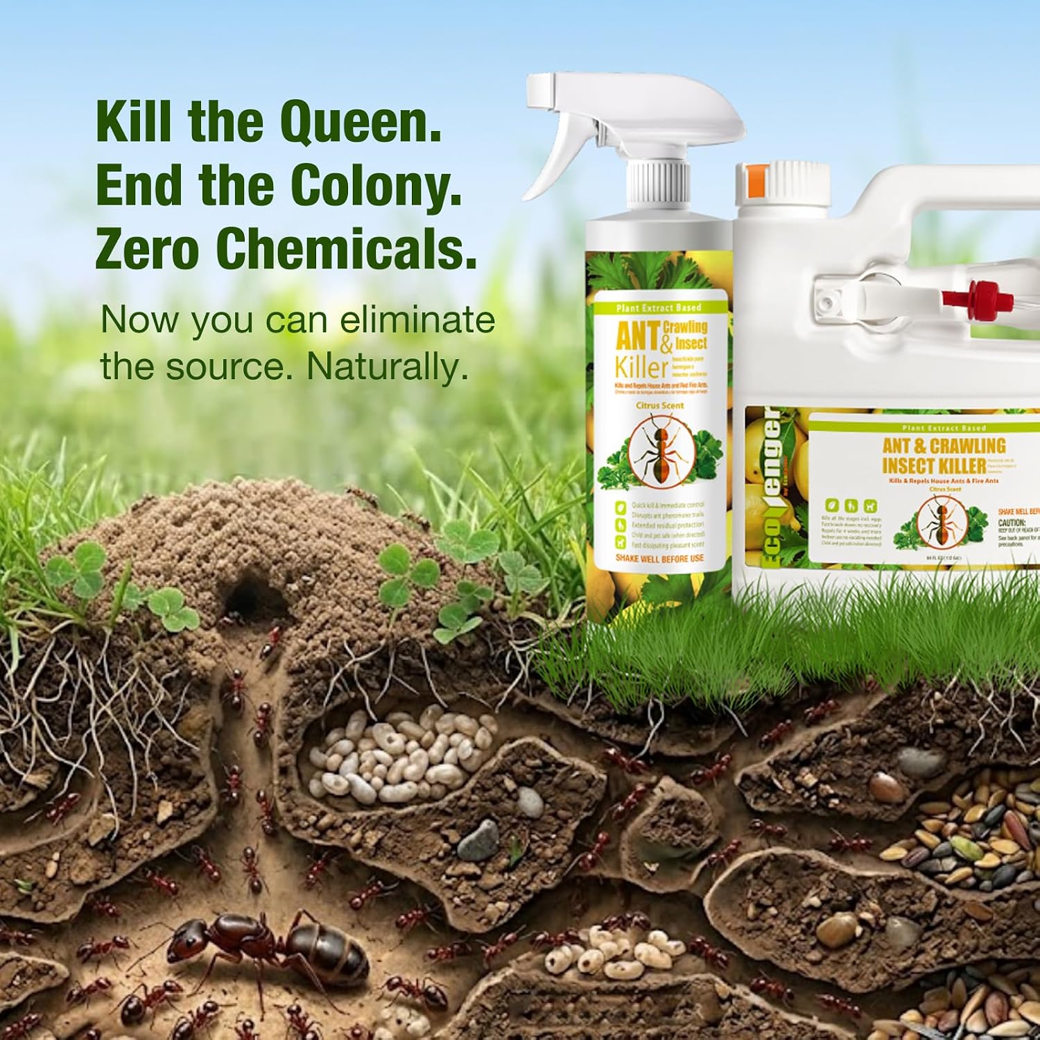 EcoVenger By EcoRaider Ant Killer & Crawling Insect Killer, 16 OZ Ready to Use, Indoor & Outdoor, Kills & Repels, Lasting Prevention, Natural & Non-Toxic Plant Based Formula, Pleasant Citrus Scent