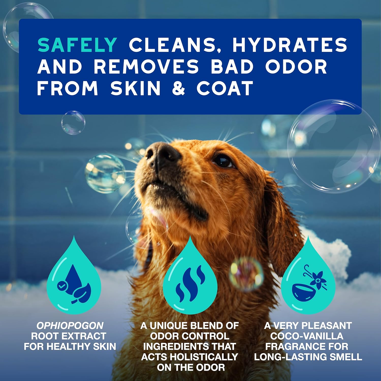 DOUXO SPA Dog Shampoo for Smelly Dogs, 16 fl oz | Hydrates the Skin, Removes Bad Odor, Leaves the Coat Soft and Smelling Great, Ultra-Safe Formula