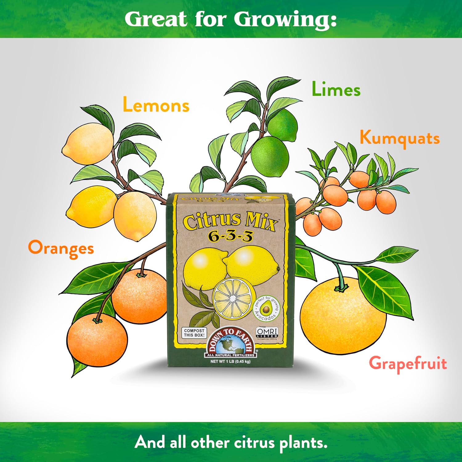 Down To Earth All Natural Fertilizers Organic Citrus Mix - 6-3-3, 1 lb | Plant Food for Lemons, Limes, Oranges, Avocados, Fruit Trees, Vines, Contains Nitrogen, Zinc, Iron, For Blossoms and Fruits