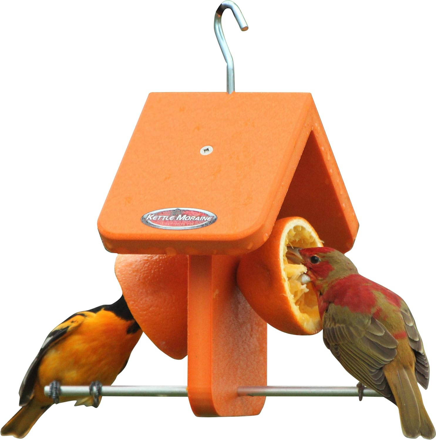 Recycled Single Oriole Orange Fruit Feeder