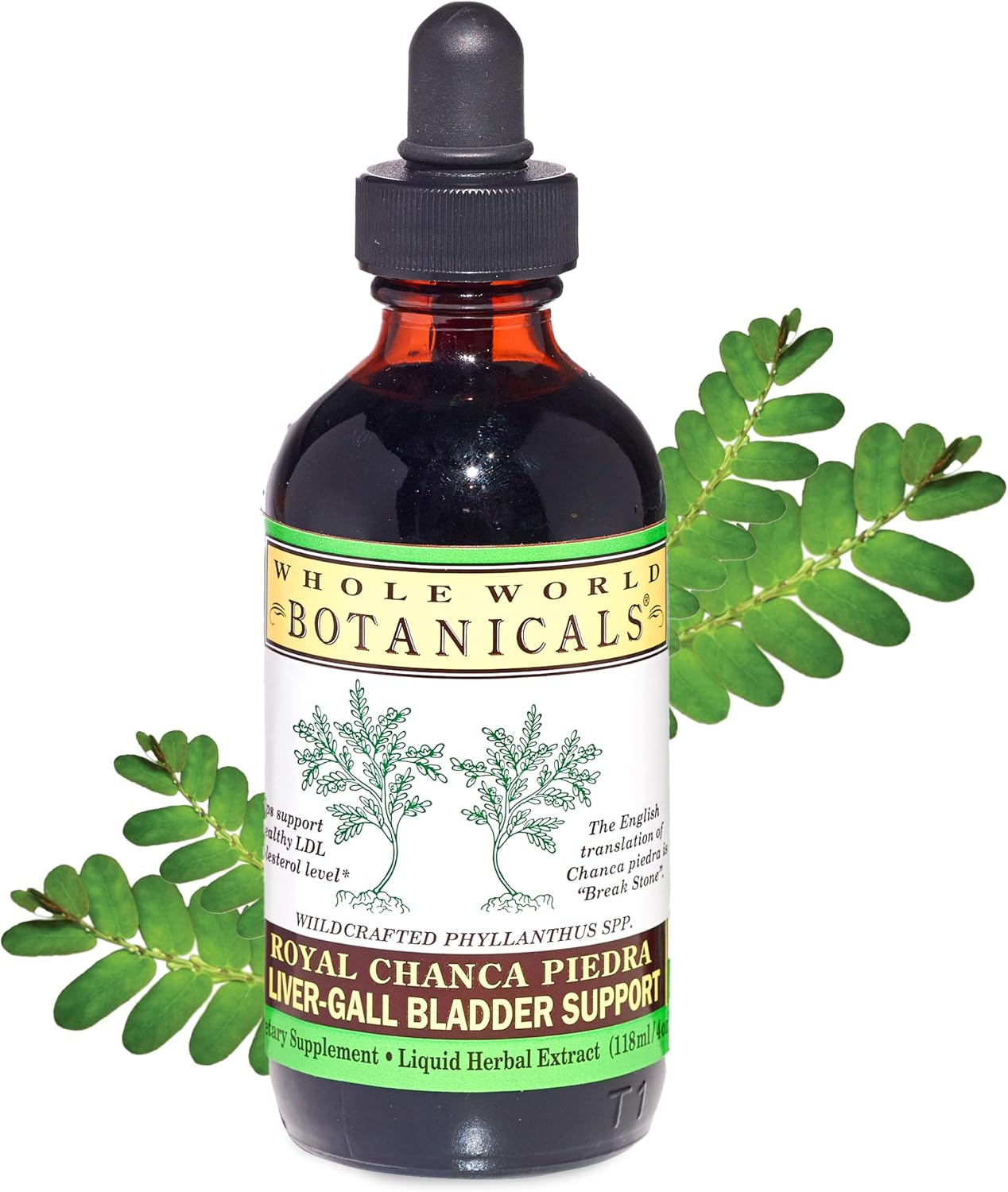 Whole World Botanicals Royal Chanca Piedra – Liver & Gallbladder Support – Herbal Supplement – Liquid Extract 4 oz – Traditional Amazon Herb