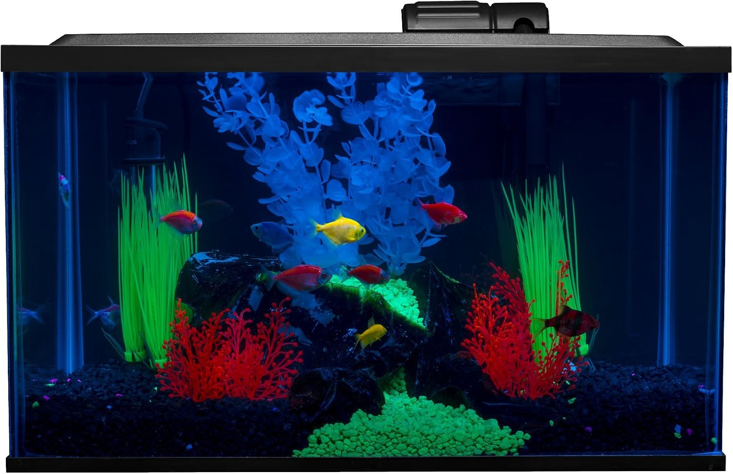 GloFish Crescent aquarium Kit 3 Gallons, Includes Hidden Blue LED Light And Internal Filter