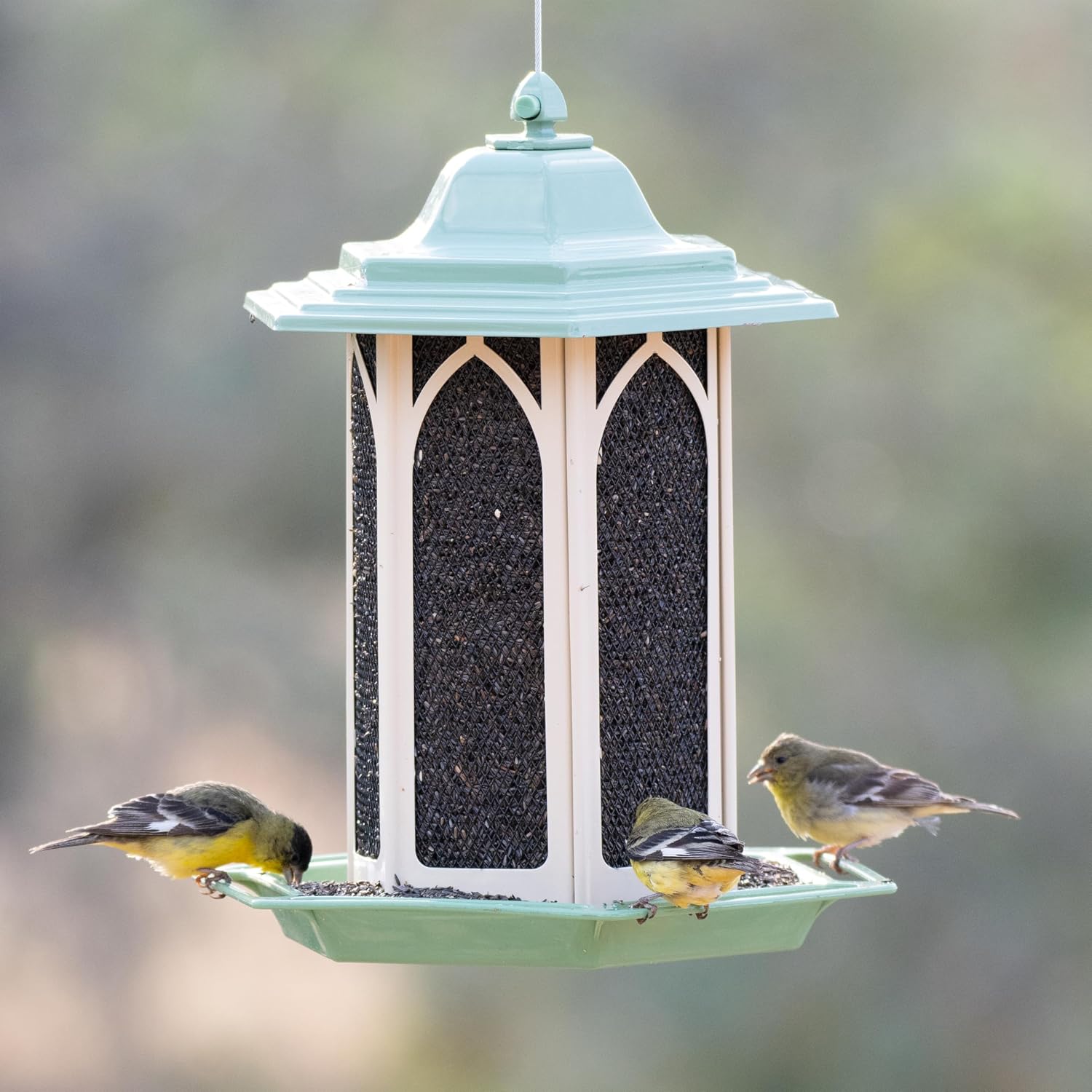 Perky-Pet GAZ01 Pistachio Gazebo Bird Feeder - Metal Bird Feeders for Outside - Outdoor Garden Décor
