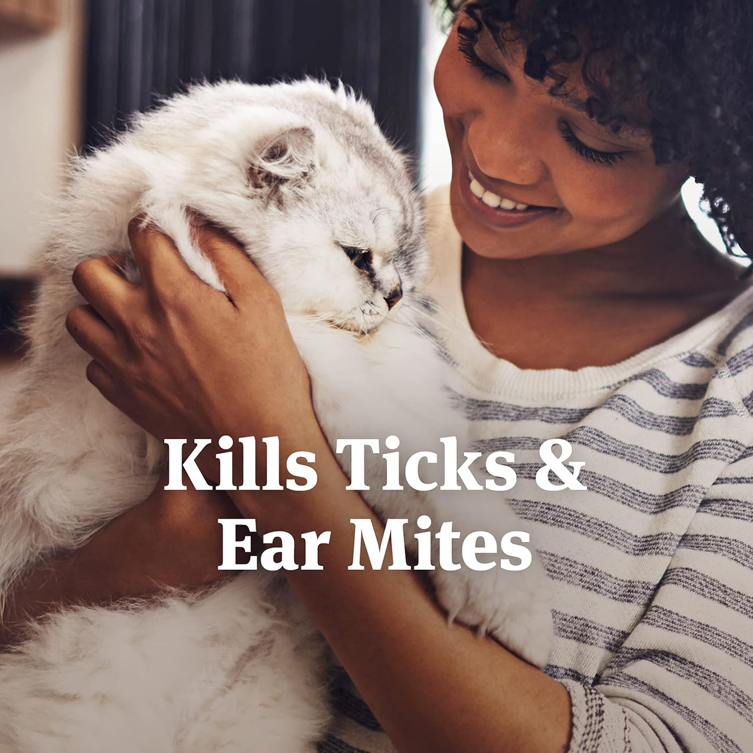 PetArmor Ear Mite Treatment for Dogs, 3oz | Ear Mite Medicine Kills Ticks and Ear Mites to Relieve Itchiness, Sooths Ears with Aloe