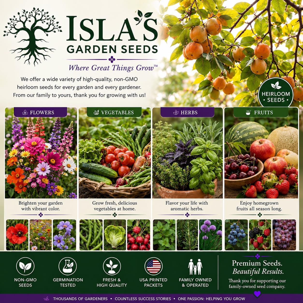 Date Plum Persimmon Tree Seeds (Diospyros Lotus) – 30+ Non-GMO & Heirloom Seeds, Exotic & Rare Fruit Tree, 80% Germination Rate