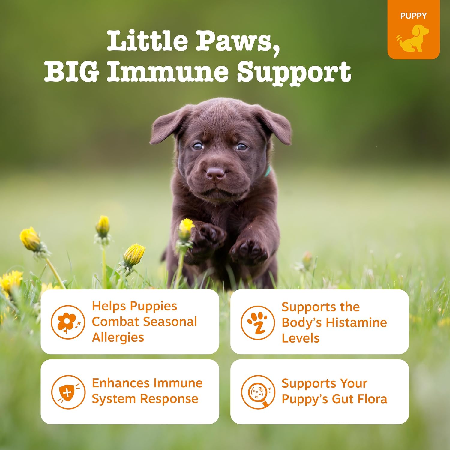 Zesty Paws Allergy Immune Bites - Dog Allergy Chews, Dog Probiotics for Itchy Skin and Ears, Lamb, 90ct