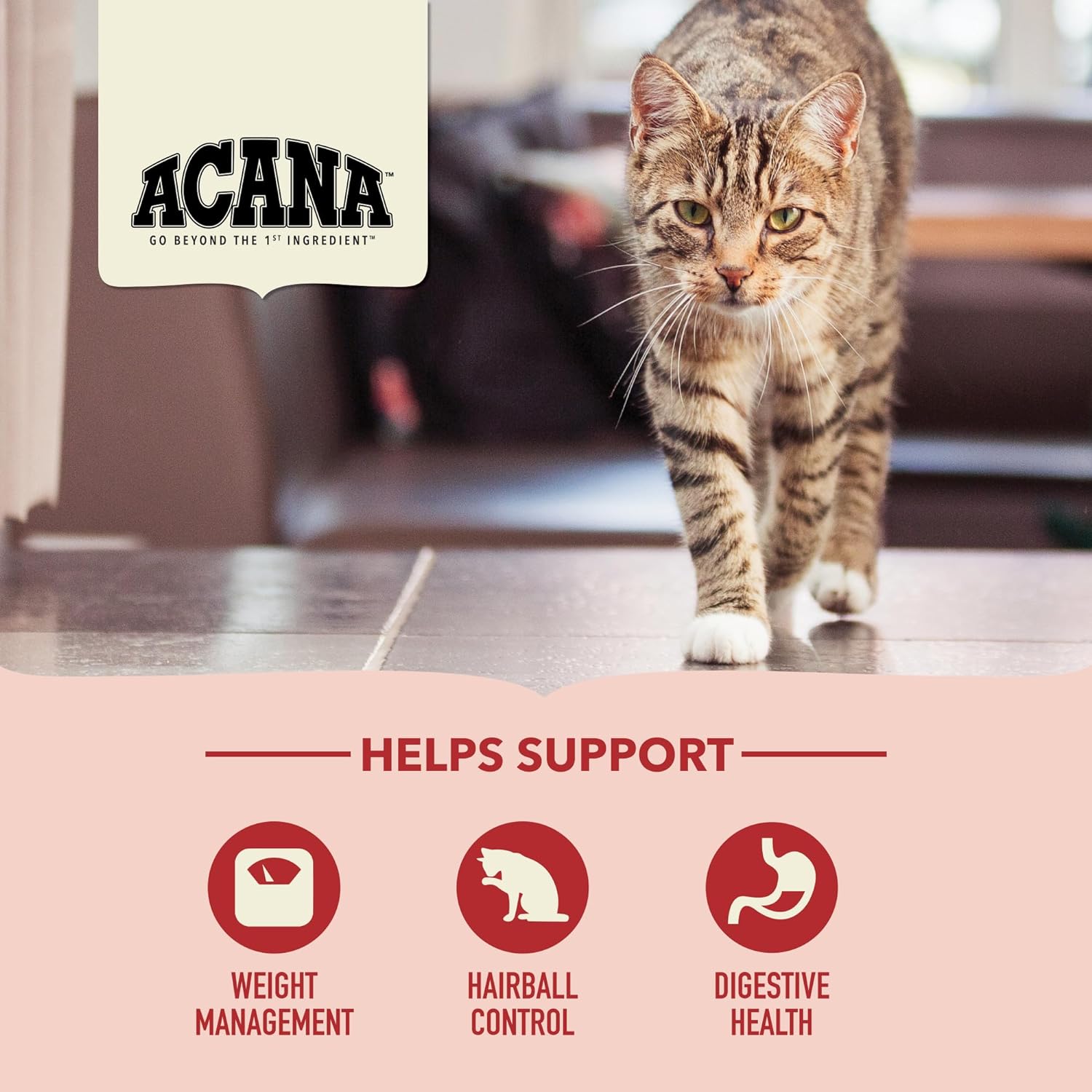 ACANA Dry Cat Food for Indoor Cats Indoor Entrée Chicken Turkey 4lb Bag