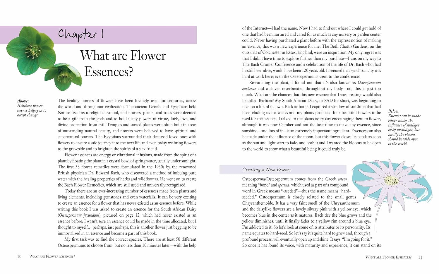 Flower Essences for Well-being: Energetic healing for health and harmony