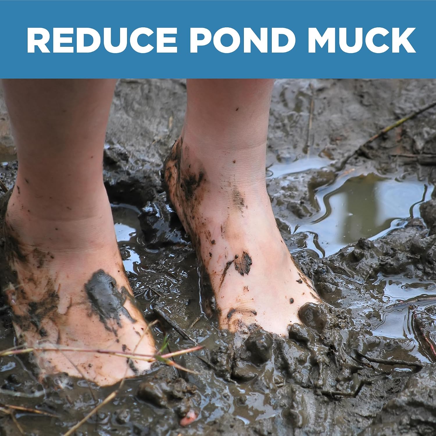 Jenlis Muck Razer Aquatic Weed & Sludge Tiller for Pond & Lake Shorelines | Heavy-duty tool reduces silt, scum, and mud, cleans sand beaches
