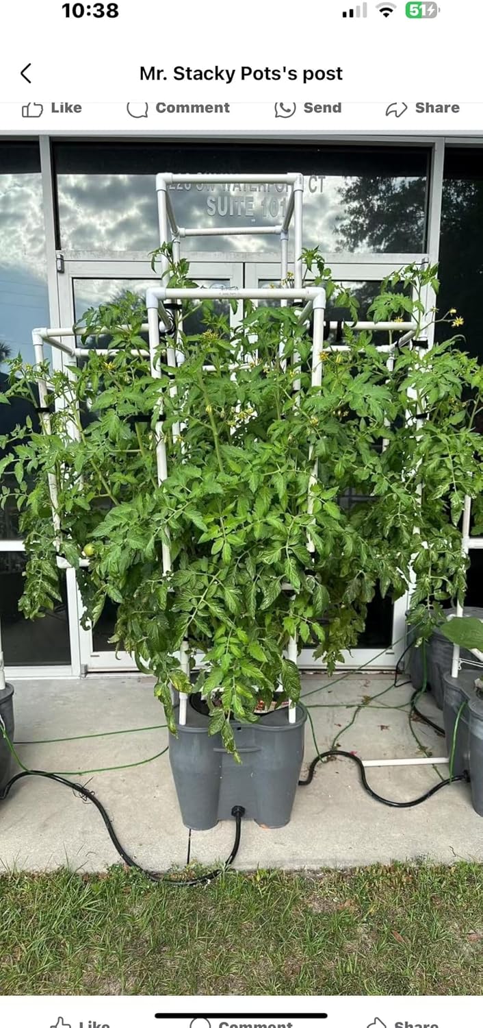 16.5 Gallon Deep Water Culture (DWC) Hydroponic Growing System Complete Kit (1)