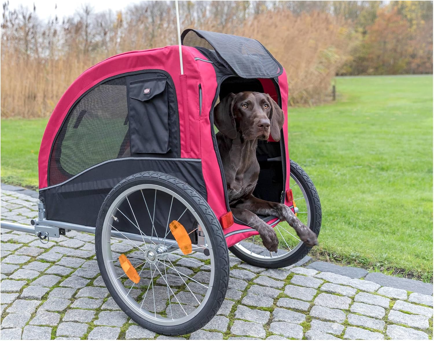 TRIXIE Medium Dog Bike Trailer - Foldable Pet Bicycle Trailer for Dogs up to 48lbs – Features Quick Fastening Wheels, 2 Doors, Safety Leash & Waterproof Carrier - 50 x 25 x 26.5in - Black/Red