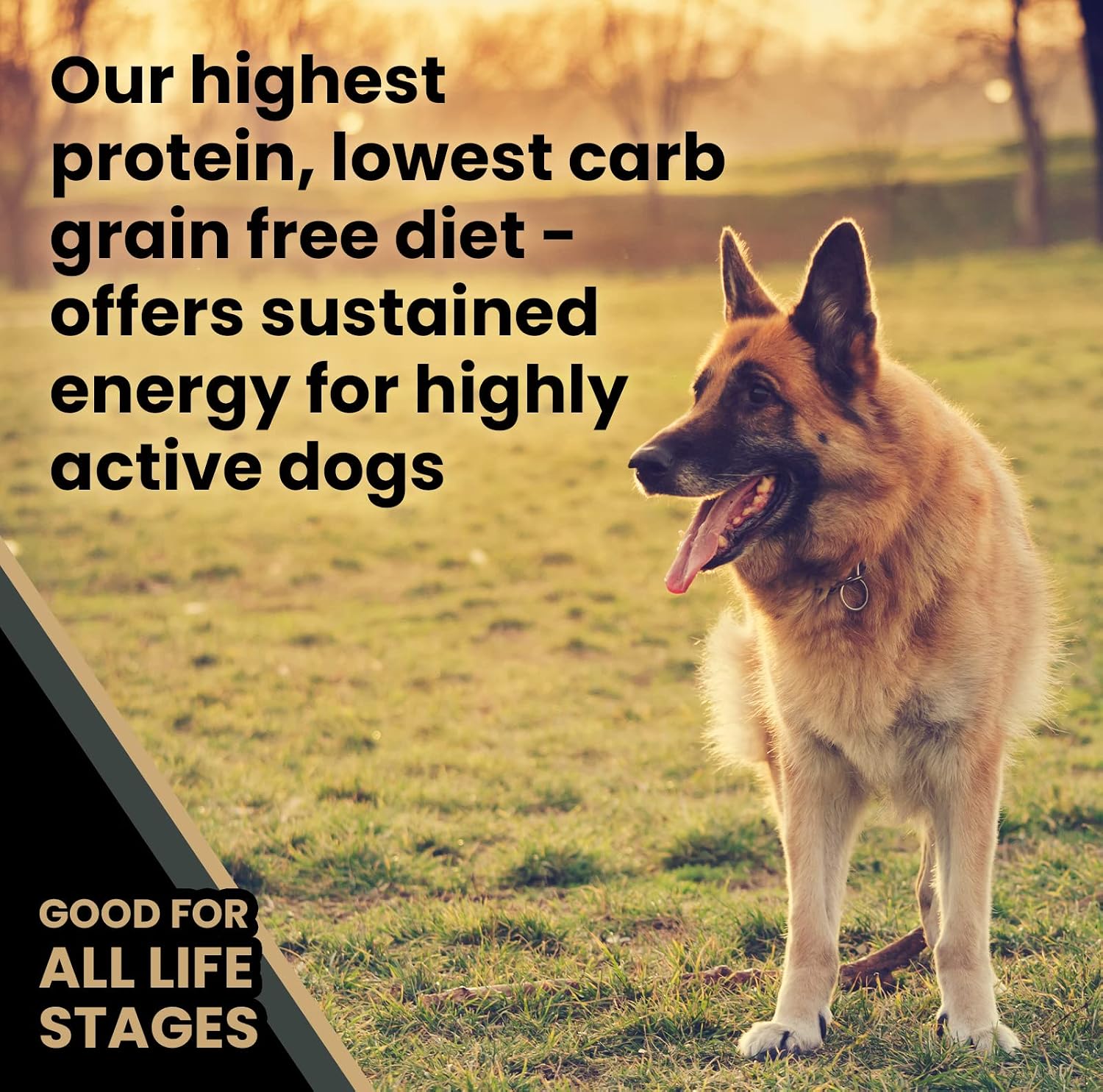 VICTOR Grain Free Ultra Pro Dry Dog Food - High Protein Dry Kibble, 30 lb | Super Premium Dog Food, Low carb for Active Dogs, 42% Protein Kibble, For Sporting Dogs of All breeds and Sizes, 30lbs