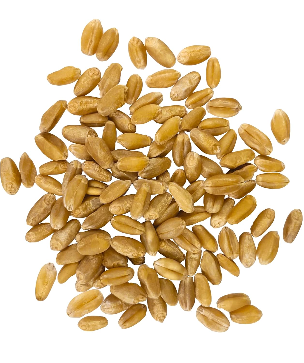 Palouse Brand Certified Glyphosate Residue Free Hard White Wheat Berries | 5 LBS | Non-GMO Project Verified | Kosher