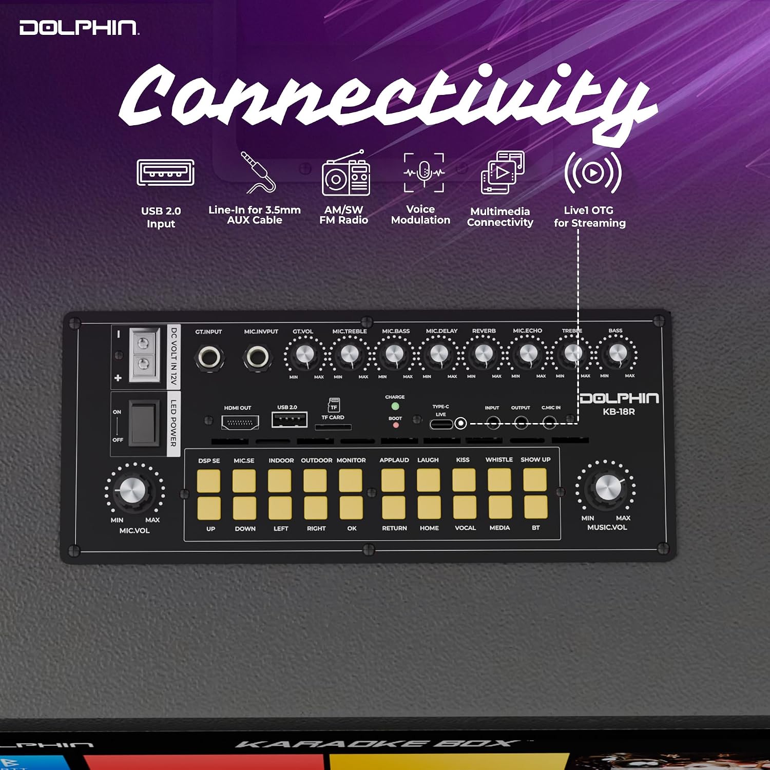 Dolphin Karaoke Machine with 2 Wireless Microphones, 18" Woofer | 18.5" Touchscreen, Android 12, Bluetooth, HDMI, USB, TF, AUX & FM Inputs