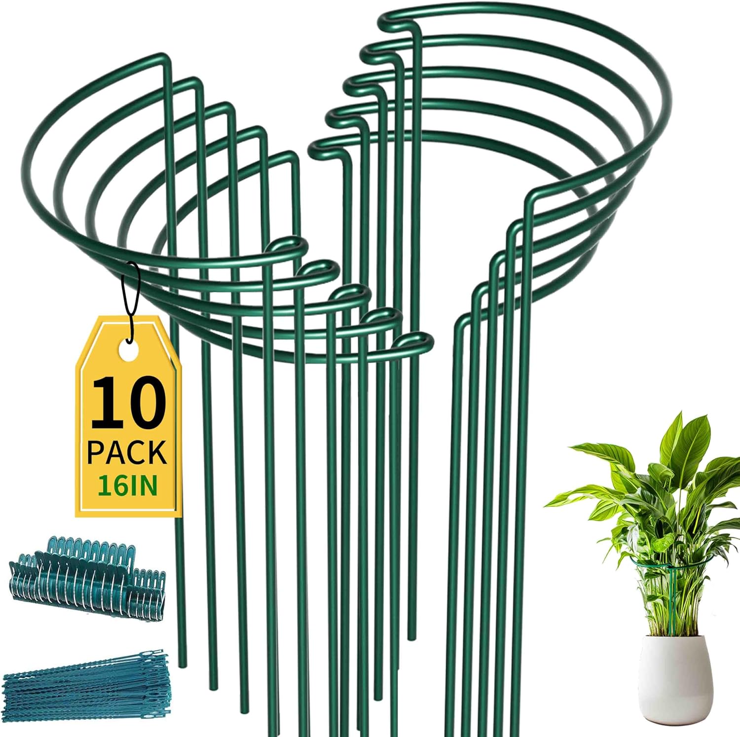 TCBWFY 10 Pack Garden Plant Support Stakes, 10" Widex16 High Heavy Duty Interlinked Half Round Peony Support Ring Cage for Indoor Outdoor Plants