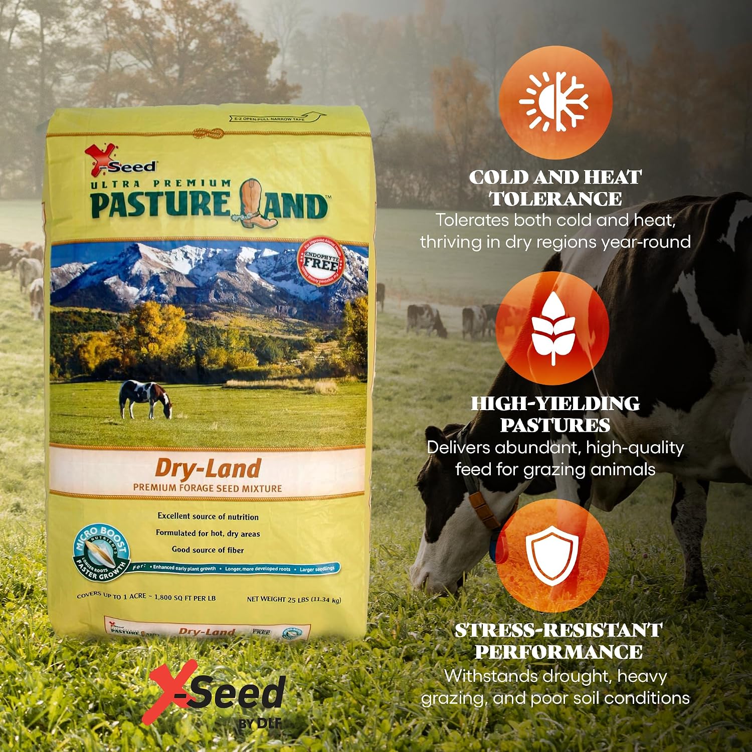 X-Seed Pasture Land Dry-Land Forage Seed Mixture with Micro-Boost – Tall Fescue Orchard Grass Ryegrass Endophyte Free Pasture for Safe Nutrition of Livestock, Formulated for Dry Areas – 25-Pound Bag