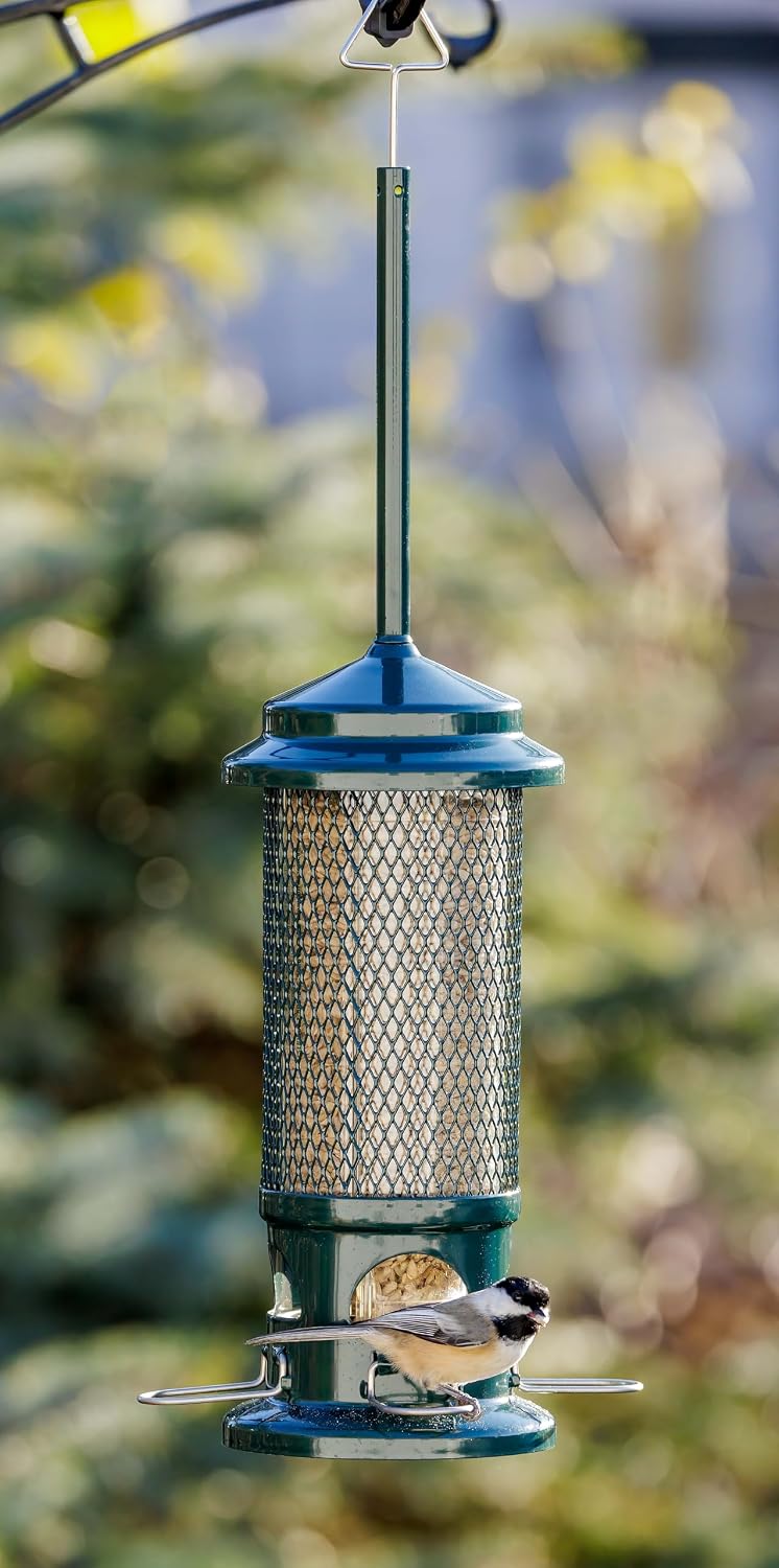 Squirrel Buster Standard Squirrel-proof Bird Feeder w/4 Metal Perches, 1.3-pound Seed Capacity, garden green | Four metal perches